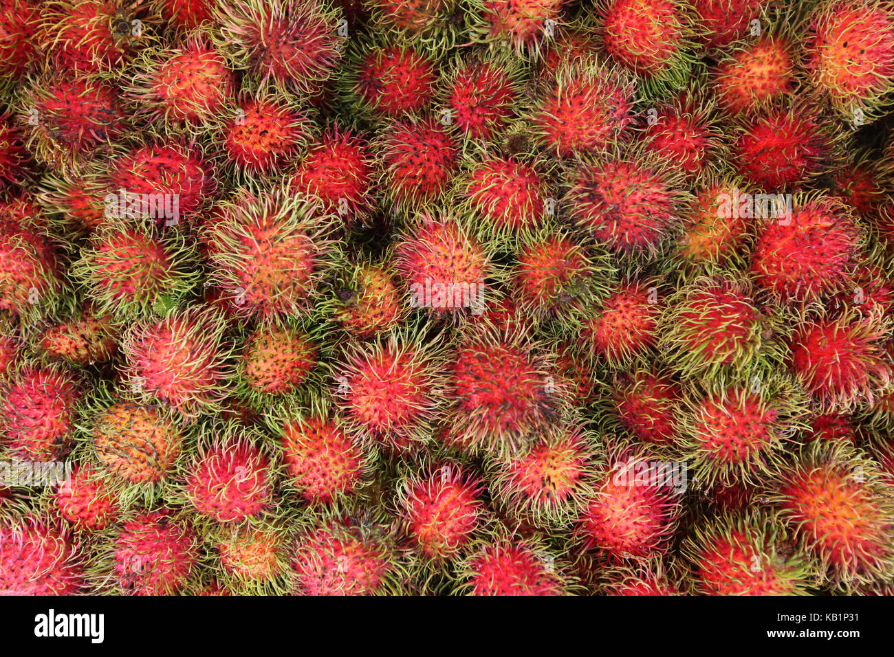 En Asia, el sudeste de Asia, Tailandia, Yasothon, mercado, rambután, frutas Foto de stock