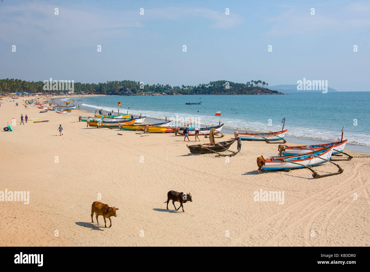 India, Goa, playa de Palolem, botas y dos Cattles Foto de stock