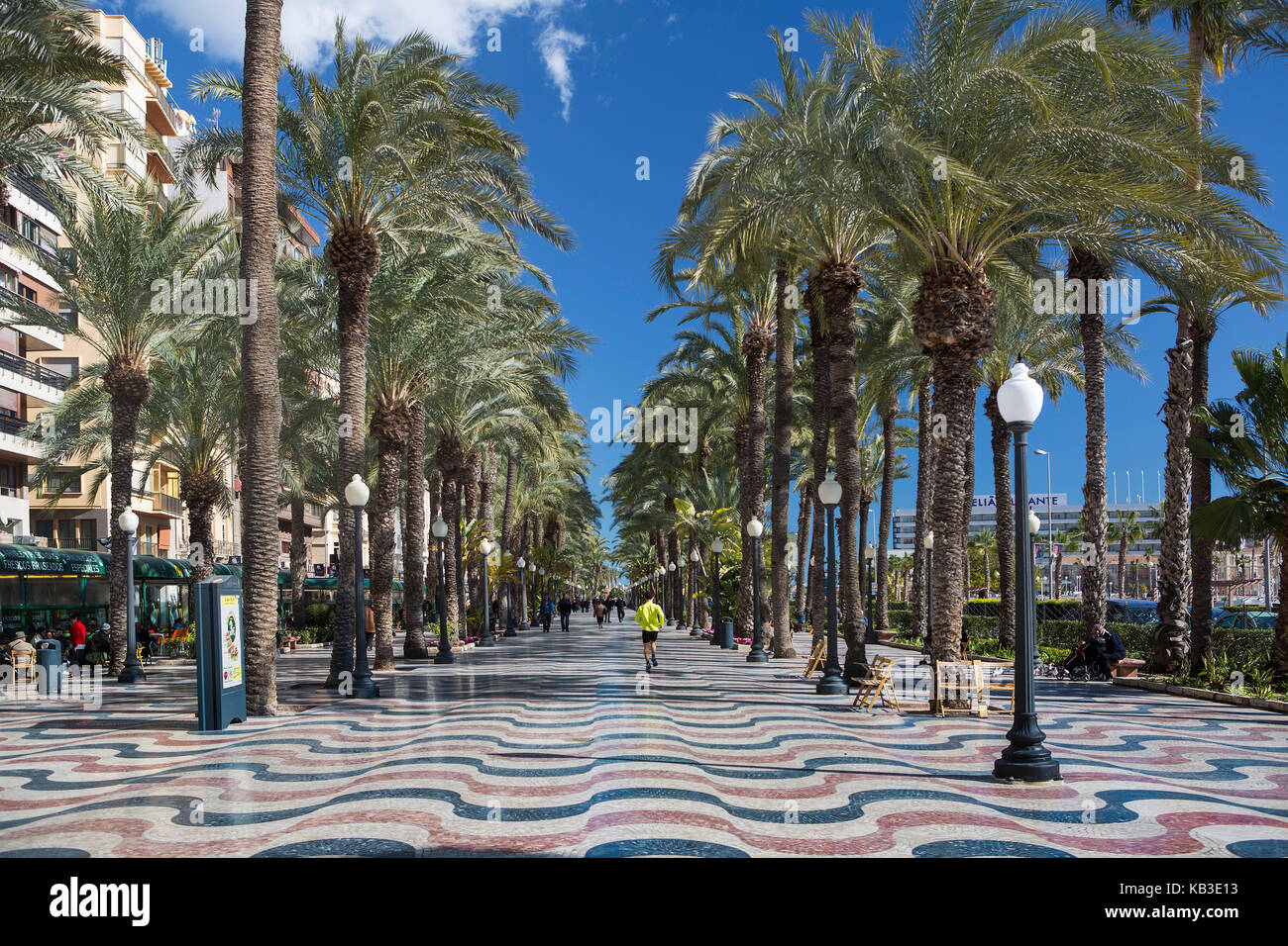 España, región de la provincia de Valencia, Alicante, Alicante, explanada con palmeras Foto de stock