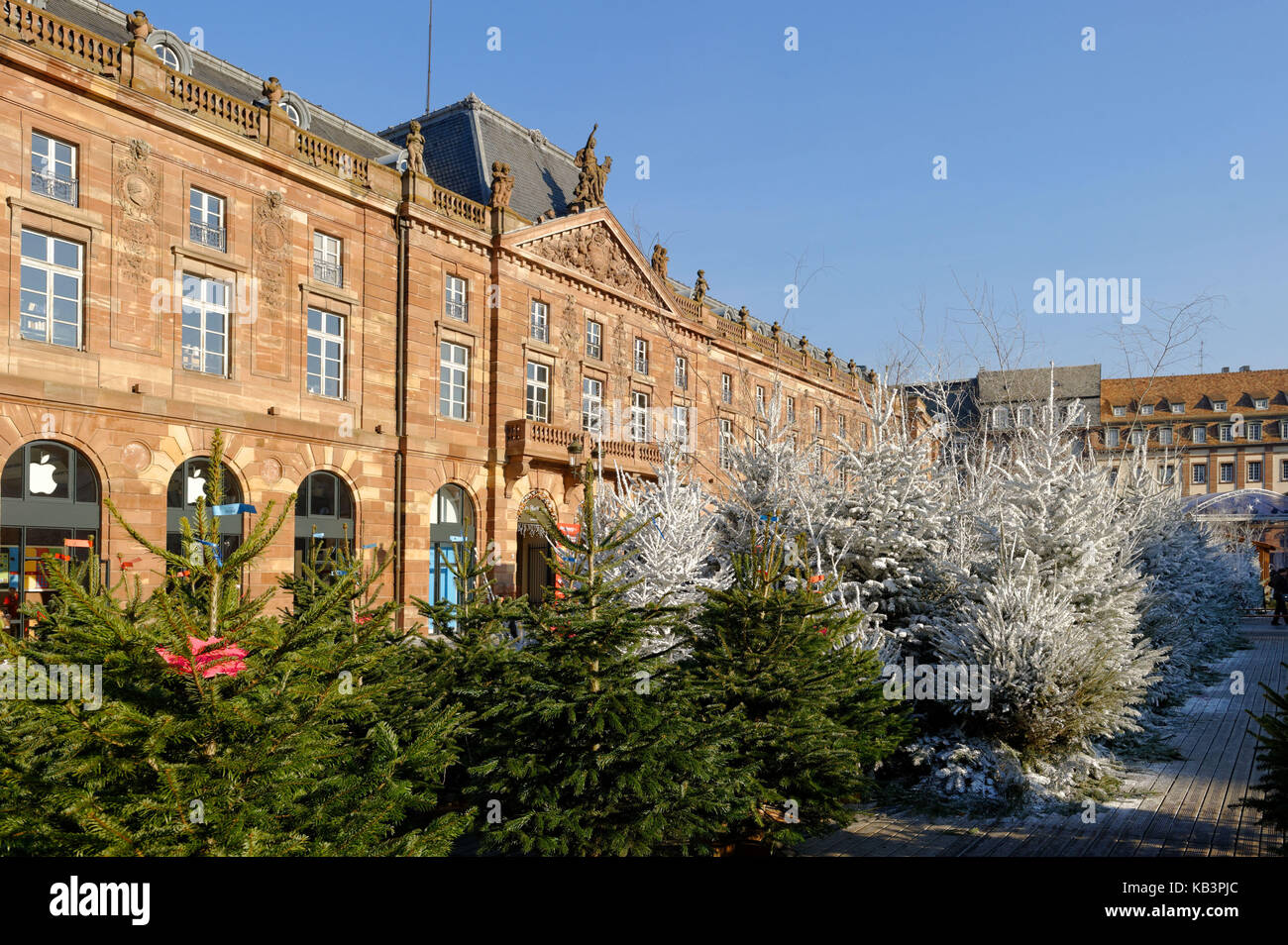 Francia, Bas Rhin, Estrasburgo, casco antiguo catalogado como patrimonio mundial por la UNESCO, la navidad en la Place Kléber, venta de abetos Foto de stock