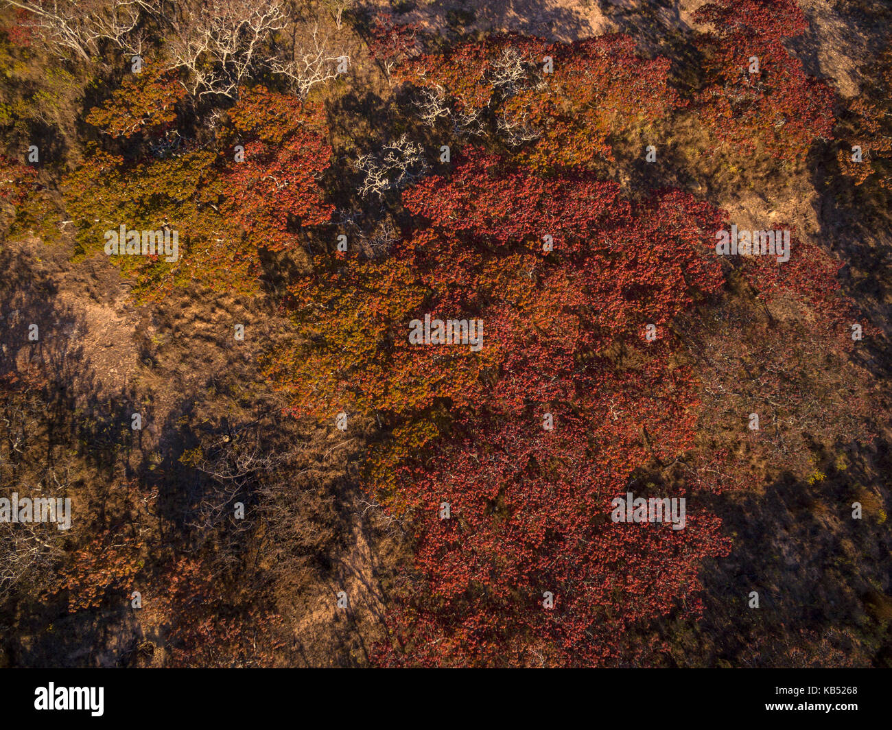 Una vista aérea del parque nacional nyanga de Zimbabwe Fotografía de