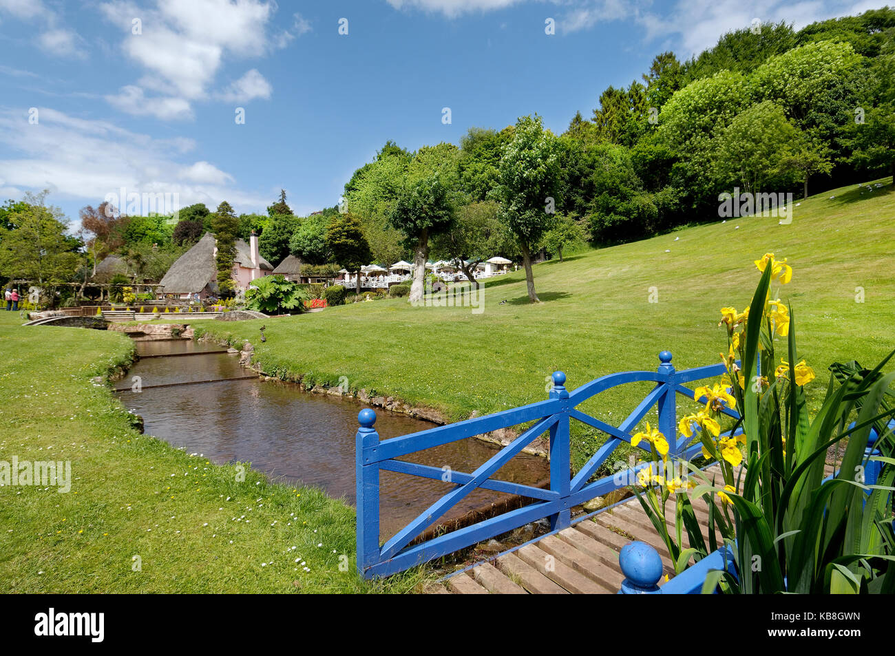 Rose Cottage Tea Gardens, cockington Torquay Devon, Reino Unido - vistas al jardín de césped y arroyo con puente y iris amarillo en primer plano Foto de stock