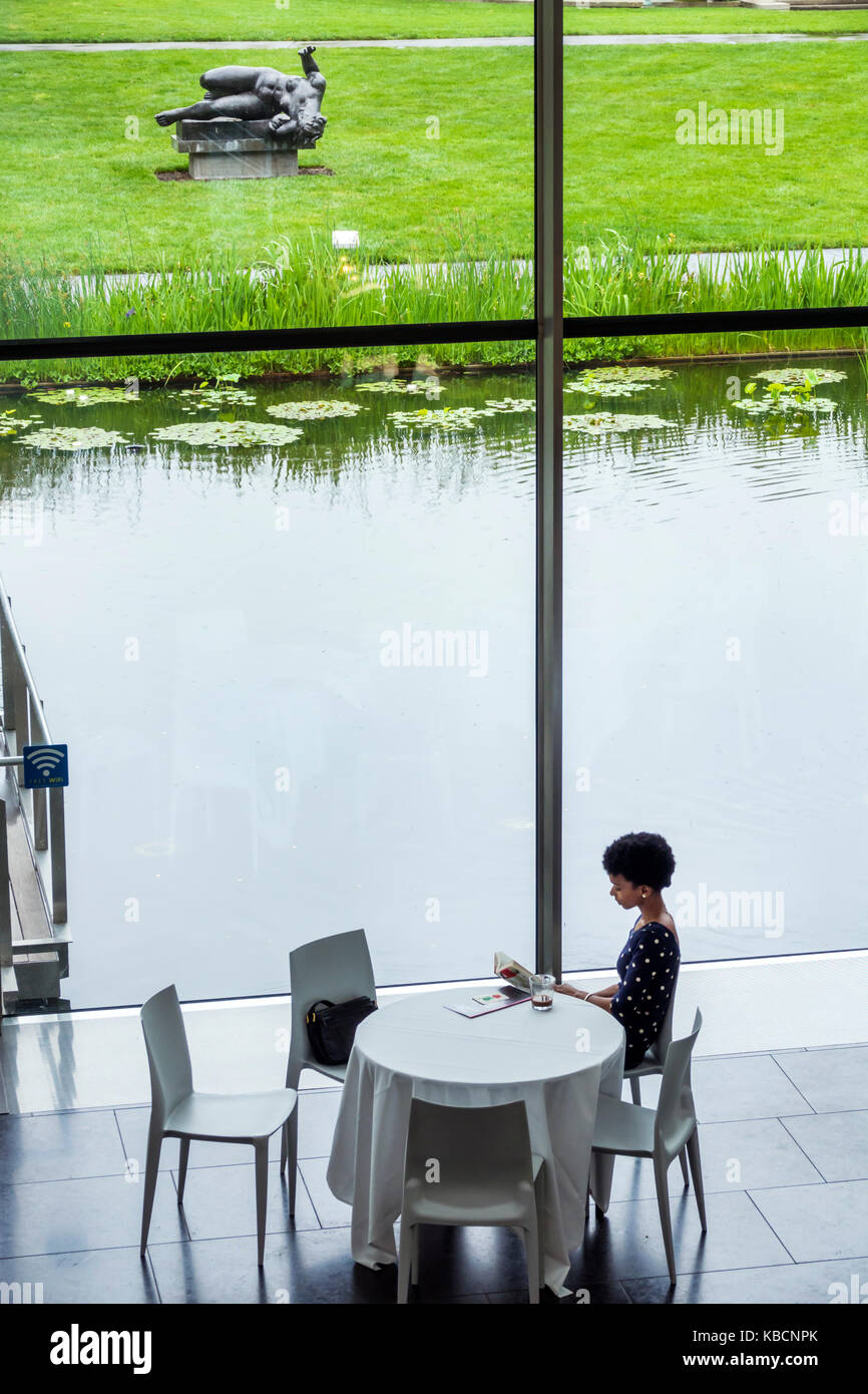 Richmond Virginia, Virginia Museum of Fine Arts, VMFA, comedor, cafetería, restaurante restaurantes comida comedor cafés, vistas al jardín de esculturas, atractivo Blac Foto de stock