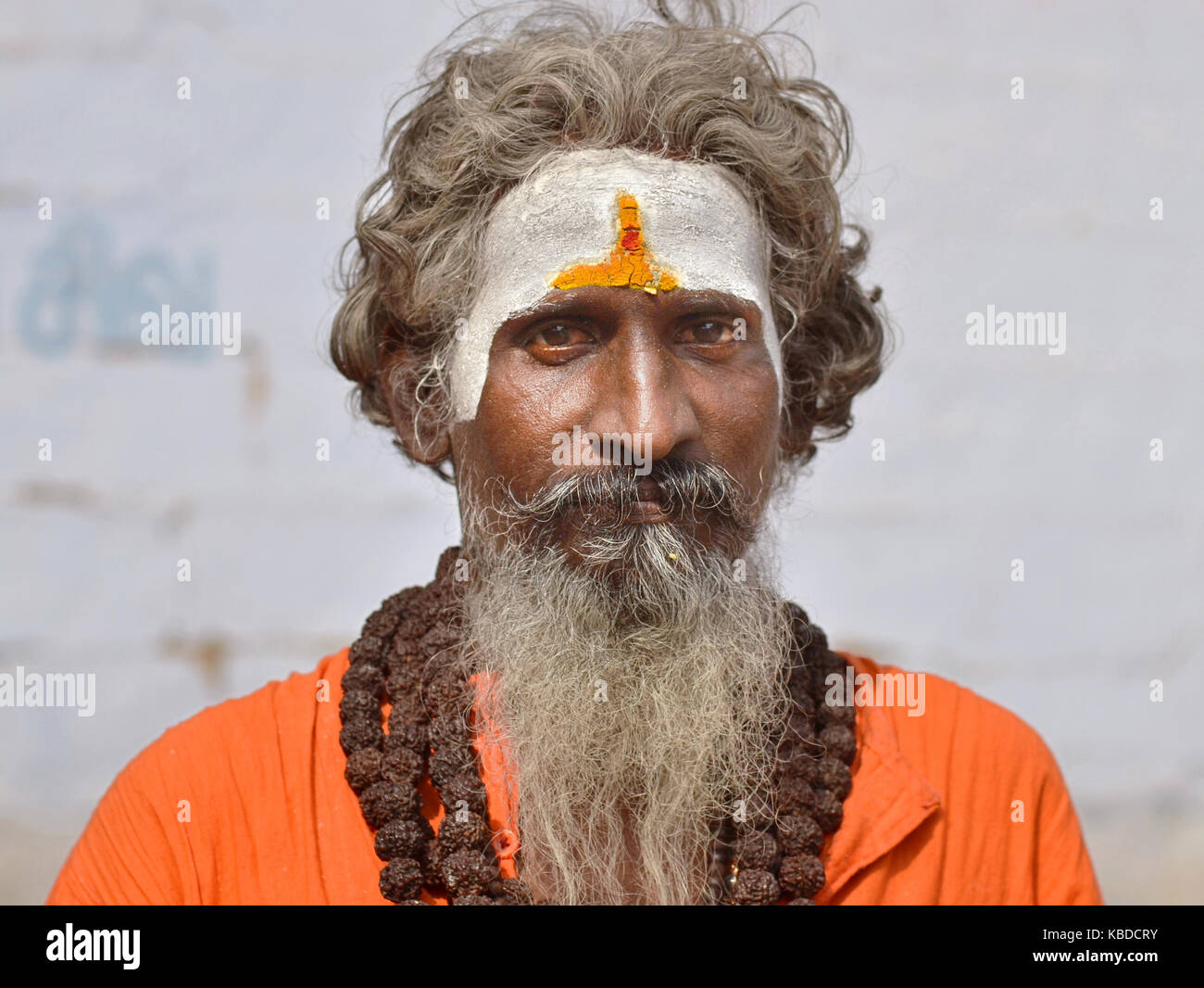 Sadhu shaivita de mediana edad (hombre santo hindú Shiva) que adora con blanco vibhuti, vistiendo cadenas de gran rudraksha rosarios sobre su túnica de color naranja Foto de stock
