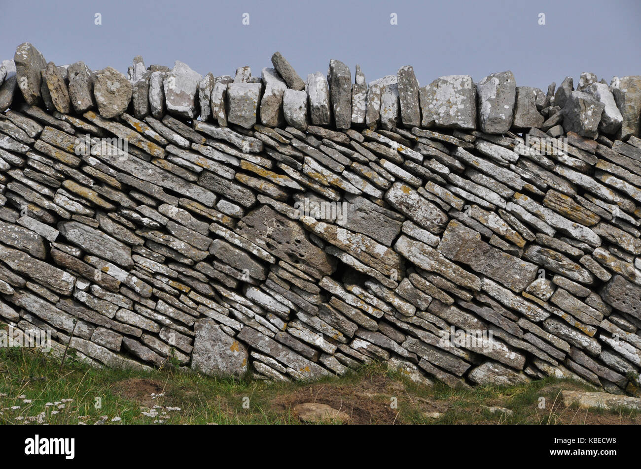Muro de piedra seca , límite de campo en purbeck dorset uk. con cursos en 45 grados. La piedra caliza, una roca sedimentaria. Foto de stock