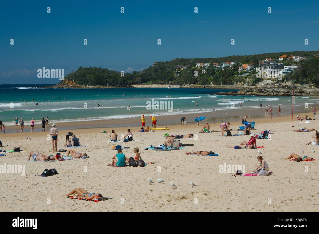 Playa en Sydney, Australia Foto de stock