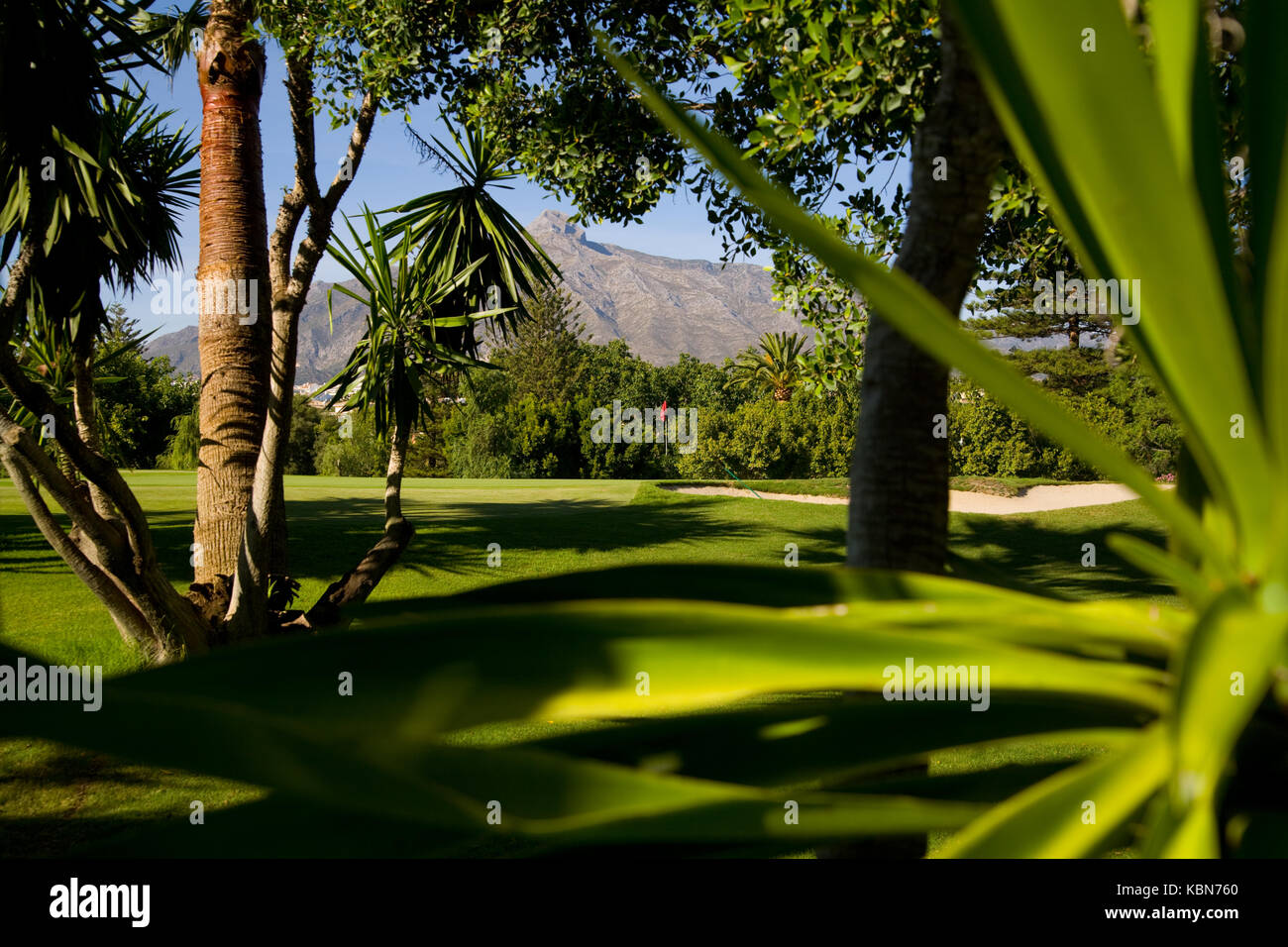 Campos de golf en Andalucía Foto de stock