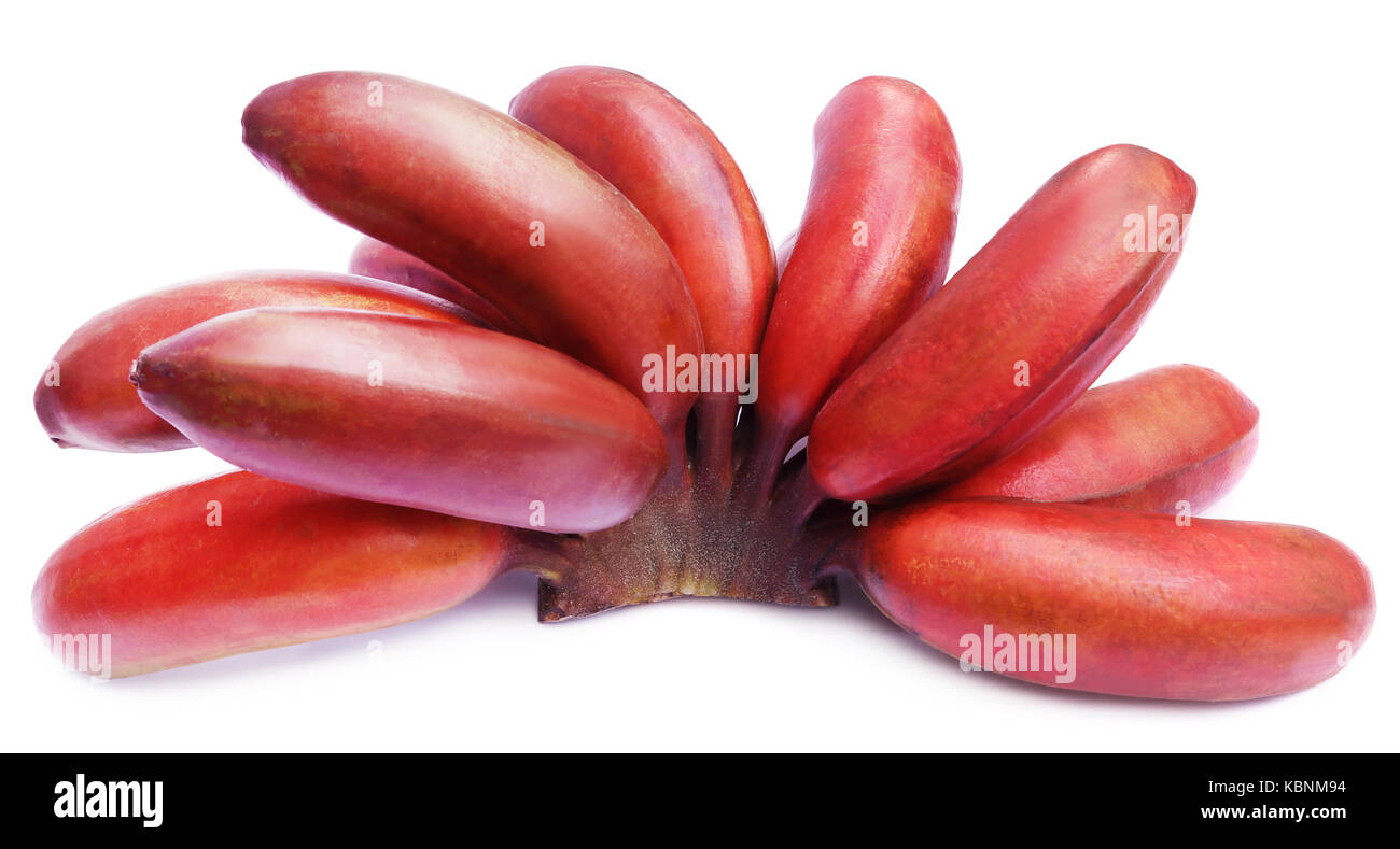 Banana rojo aislado sobre fondo blanco. Foto de stock