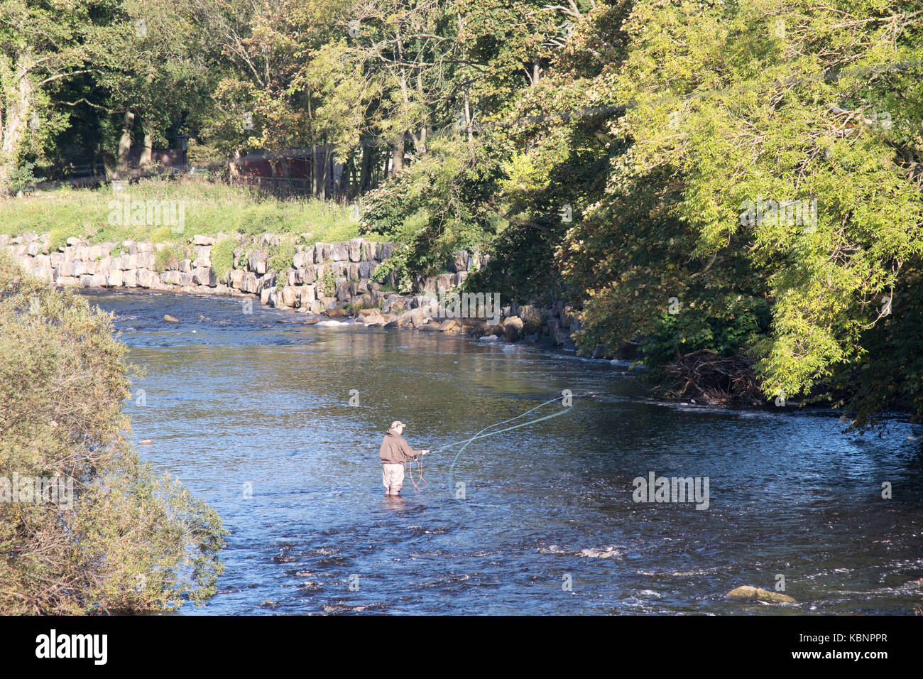 Hombre que pesca en el río desgaste en Wolsingham, Condado de Durham, Inglaterra, Reino Unido. Foto de stock