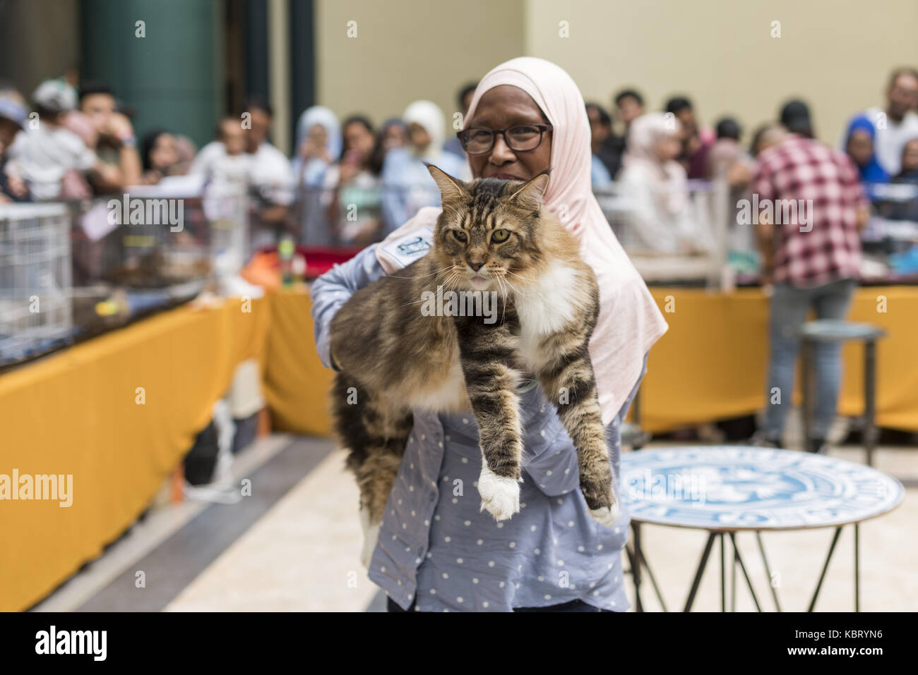 Kuala Lumpur, MALASIA. 30 de septiembre de 2017. M Shamsiah fotografió con  su gato GIP (raza MAINECON) durante la exposición de gatos de Malasia en el  Centro de Exposiciones y Convenciones MATRADE