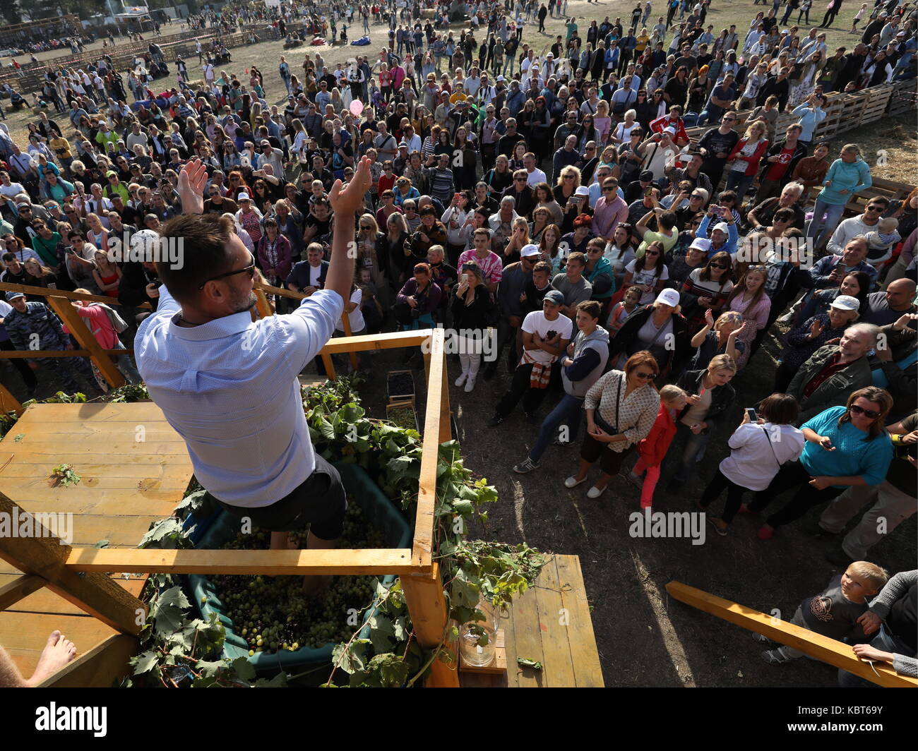 Crimea, Rusia. 30 sep, 2017. Un hombre winefest stomps uvas en la vendimia y elaboración del vino en el festival de zolotaya balka bodega en la ciudad de balaklava. Crédito: Sergei malgavko/tass/alamy live news Foto de stock