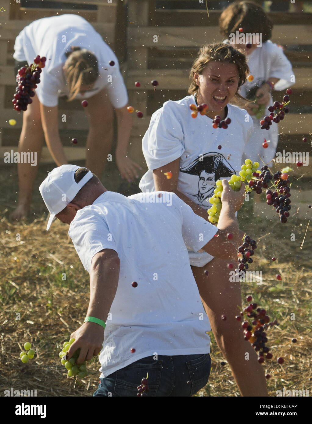 Crimea, Rusia. 30 sep, 2017. La gente tira uvas en el winefest mutuamente en la recolección de la uva y el vino en el festival de zolotaya balka bodega en la ciudad de balaklava. Crédito: Sergei malgavko/tass/alamy live news Foto de stock