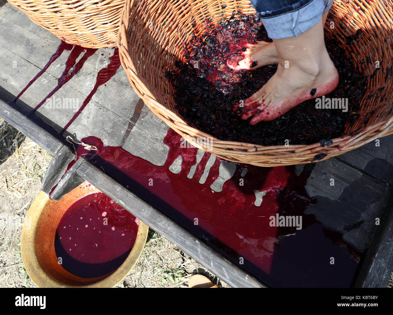 Crimea, Rusia. 30 sep, 2017. Una persona winefest stomps uvas en la vendimia y elaboración del vino en el festival de zolotaya balka bodega en la ciudad de balaklava. Crédito: Sergei malgavko/tass/alamy live news Foto de stock