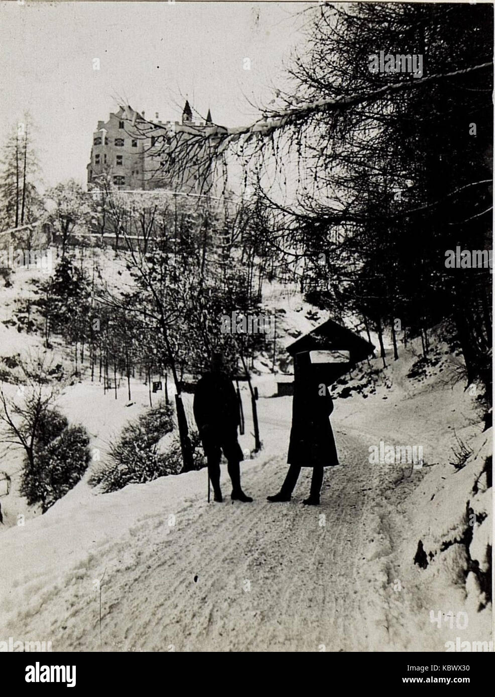 Roth mit seinem Exzellenz Generalstabschef Oberstleutnant von Langer, am 19.2.1916. (BildID 15579755) Foto de stock