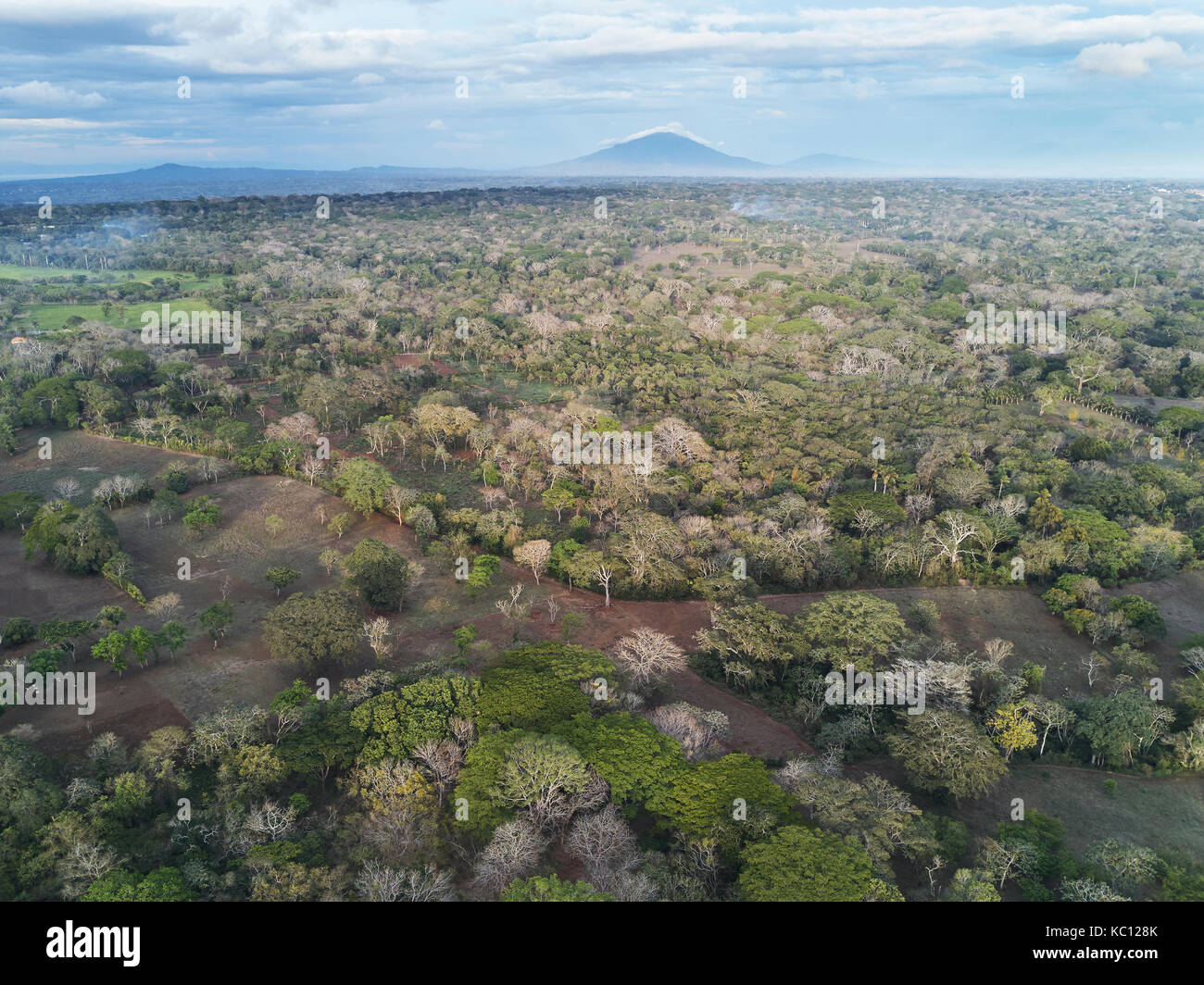 Selva tropical en Nicaragua vista de drone. naturaleza panorámica vista en Nicaragua Foto de stock