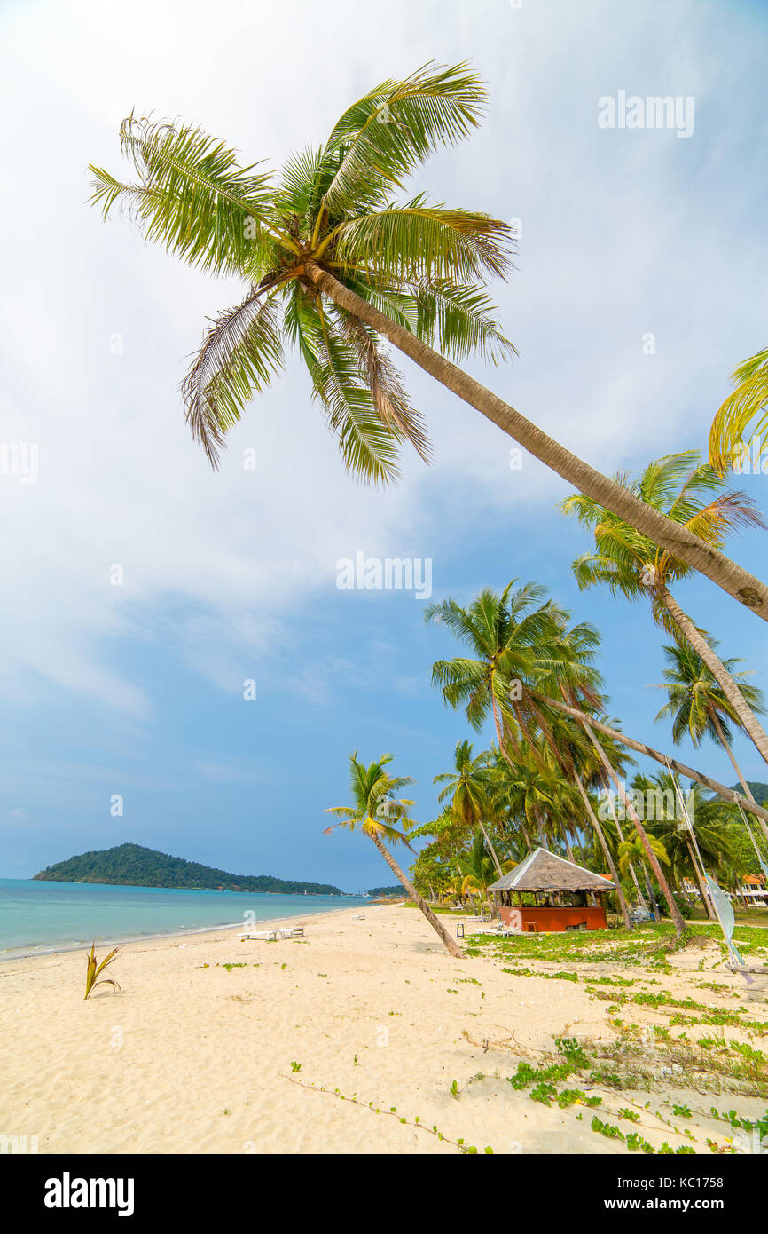 Palmeras en la hermosa playa tropical de la isla de Koh Chang en Tailandia Foto de stock