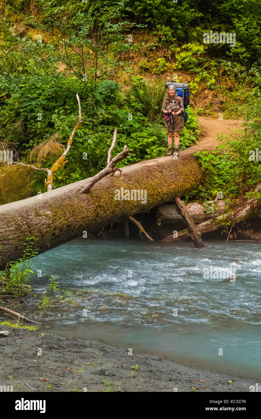 Puente de troncos a través de un afluente del río Hoh a lo largo de la ruta del río Hoh hasta el glaciar Blue, Parque Nacional Olímpico, Washington State, EE.UU Foto de stock