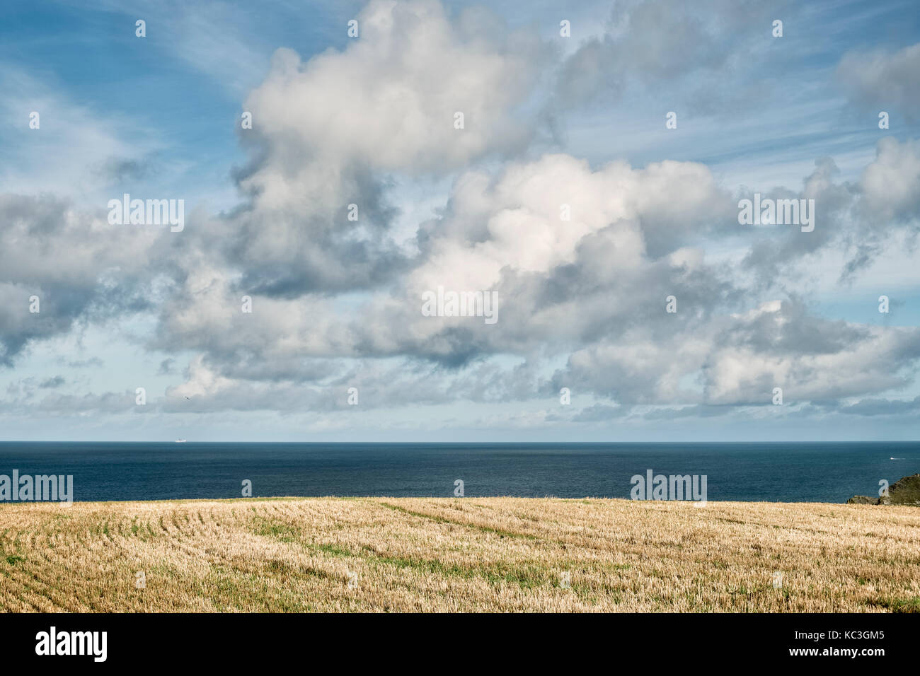 Las vistas del mar desde la Ruta Costera de Pembrokeshire cerca Trefin, Gales, Reino Unido, después de la cosecha a finales del verano Foto de stock