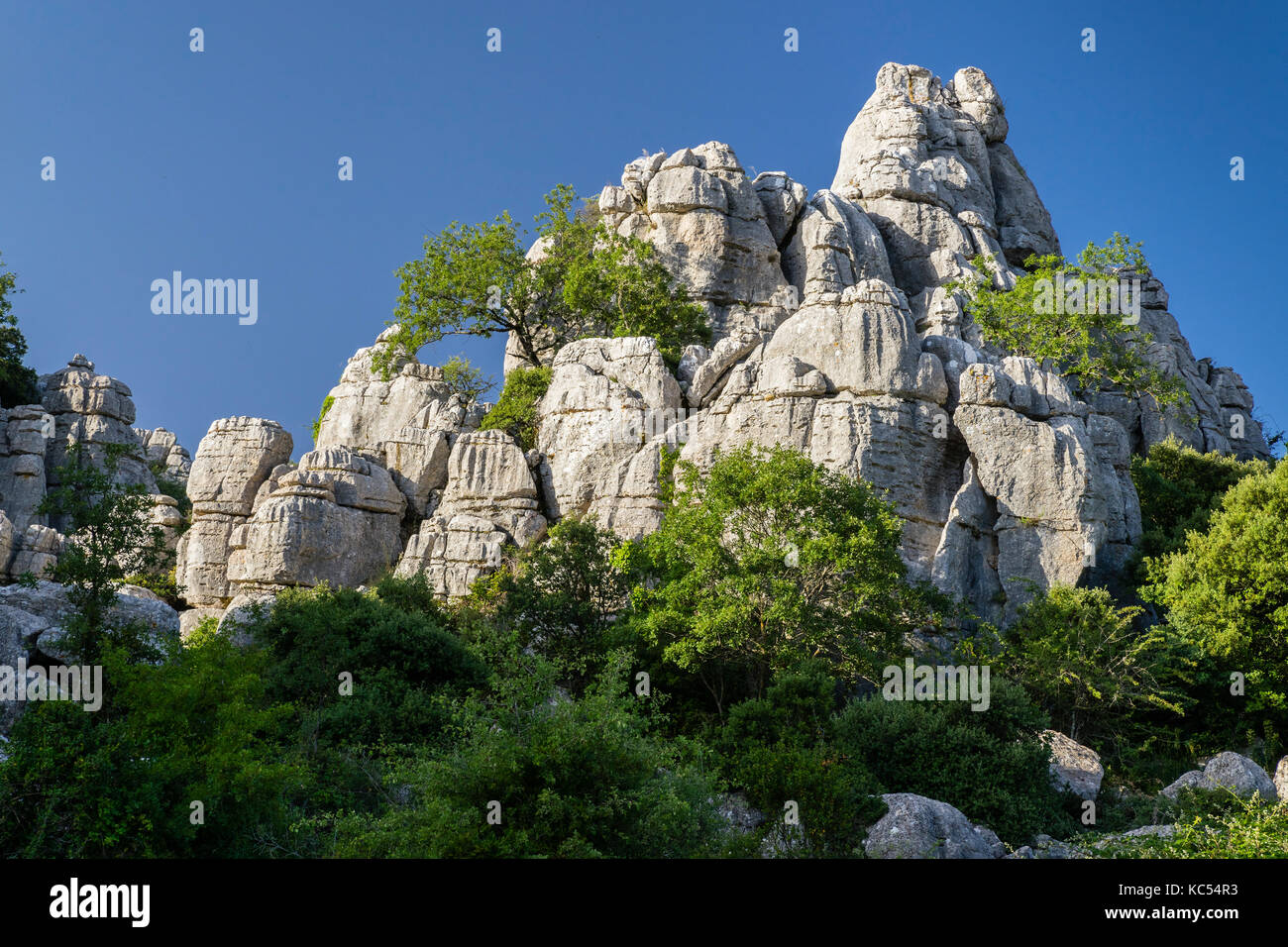 Formaciones rocosas de piedra caliza de Bizarre, Reserva Natural el Torcal, Antequera, Provincia de Málaga, Andalucía, España Foto de stock