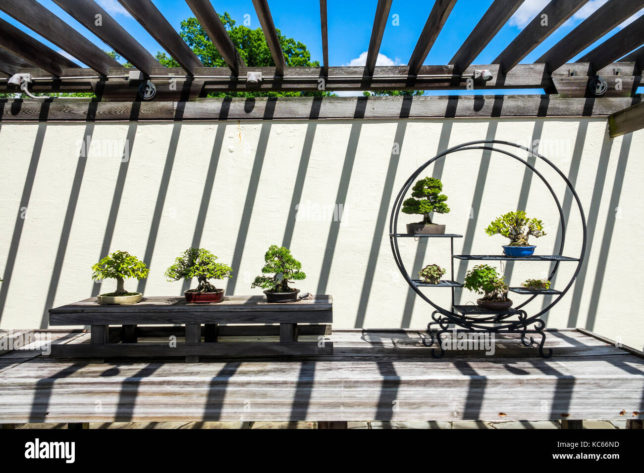Washington DC, Arboretum Nacional de los Estados Unidos, jardín