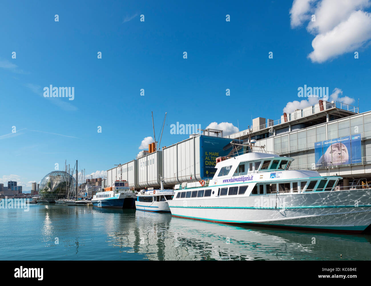 El Acuario de Génova, el Viejo Puerto, Génova, Liguria, Italia Foto de stock