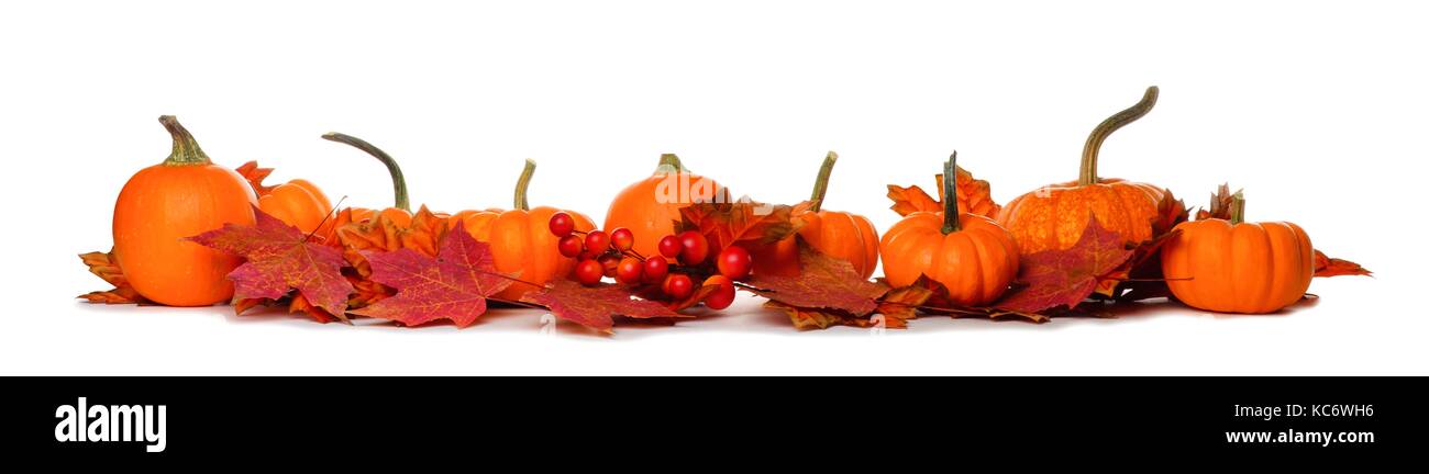 Larga frontera de mini calabazas y Rojo otoñal deja aislado sobre un fondo blanco. Foto de stock