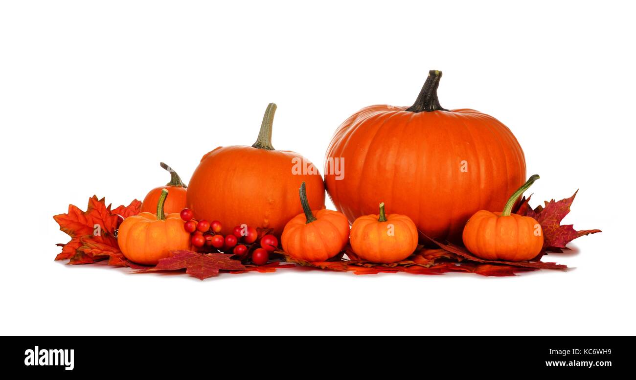 Calabazas de otoño y Rojo otoñal deja aislado sobre un fondo blanco. Foto de stock