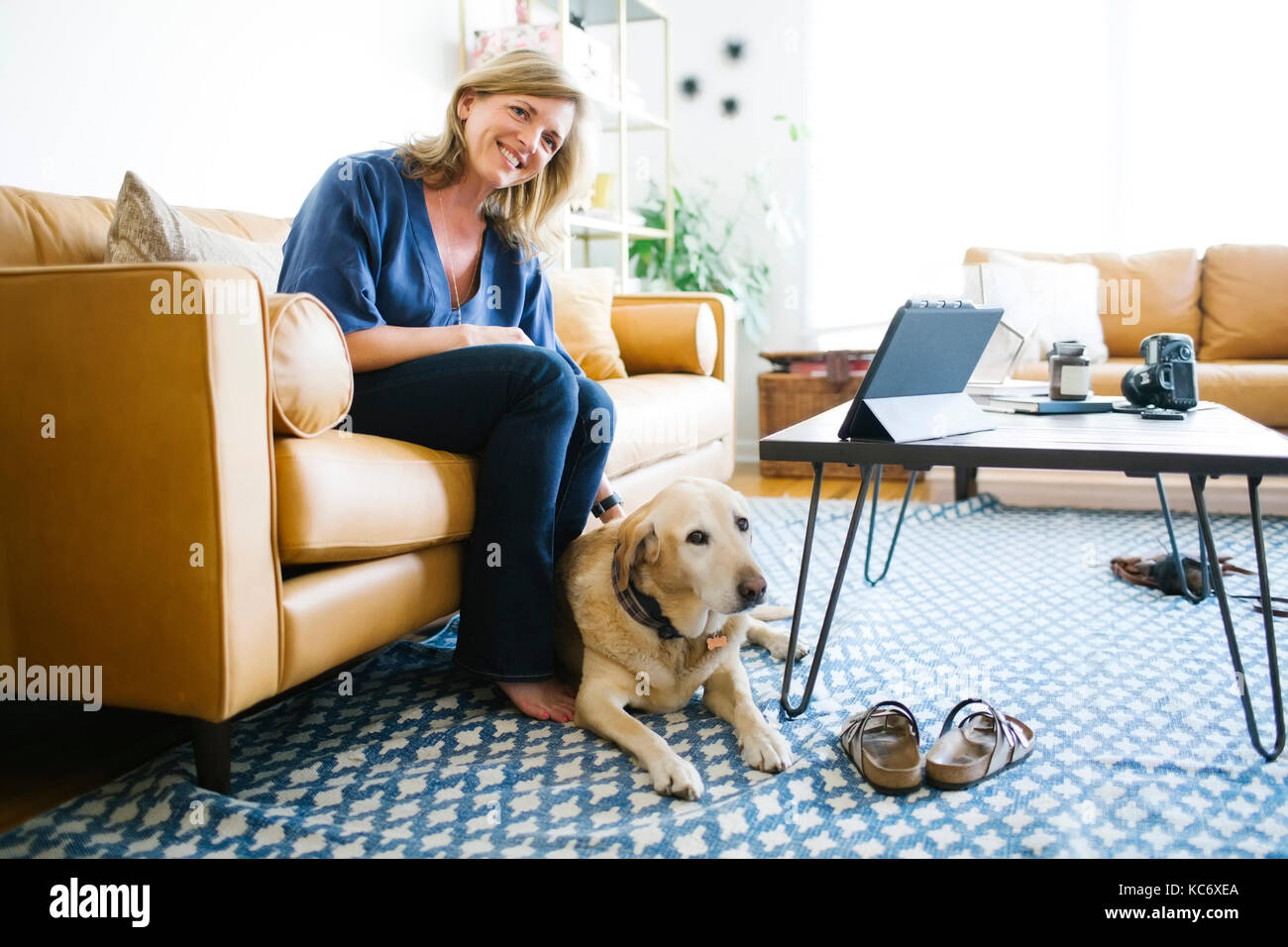 Mujer acariciando labrador retriever en el salón Foto de stock