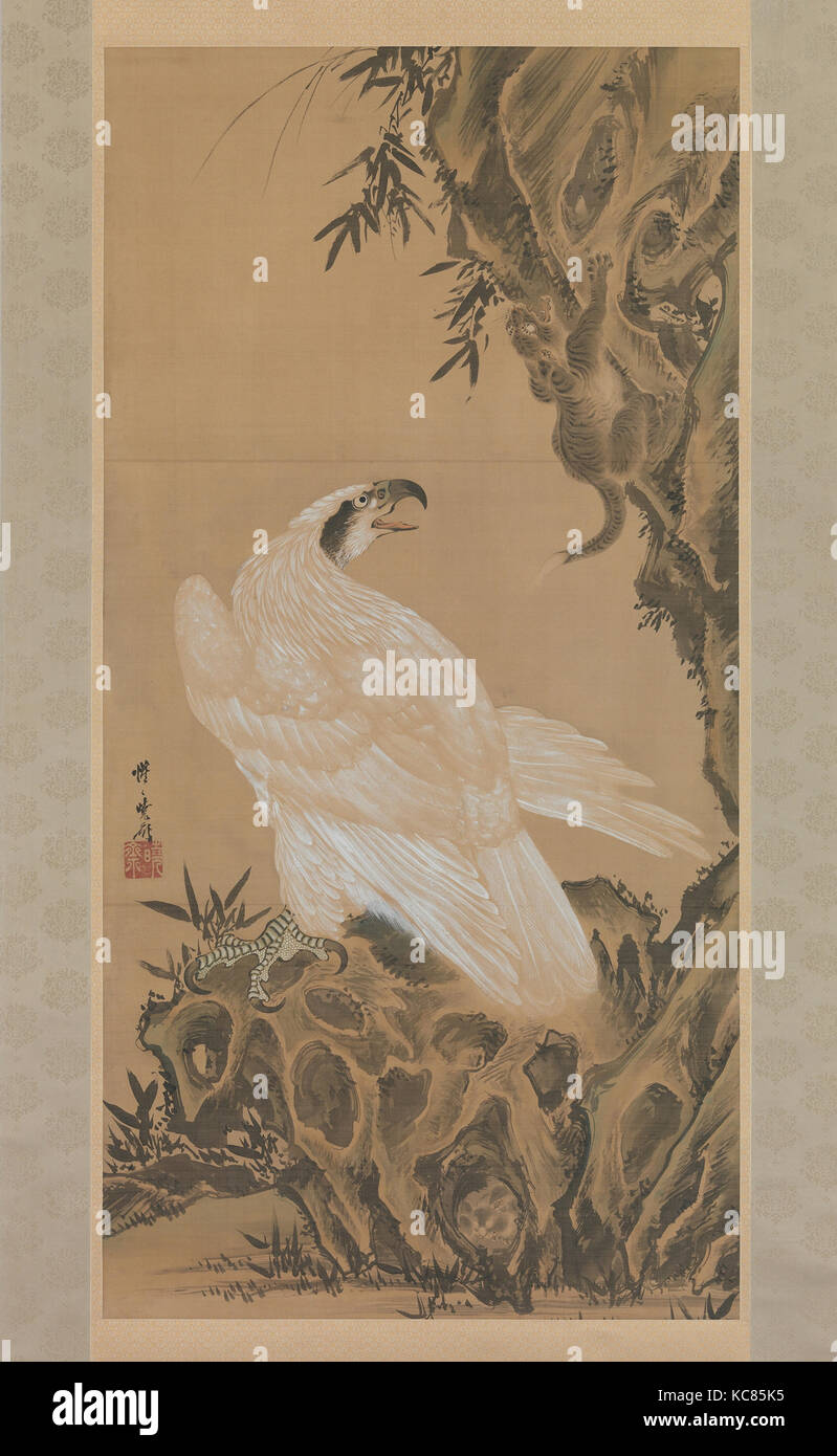 Aguila blanca fotografías e imágenes de alta resolución - Alamy