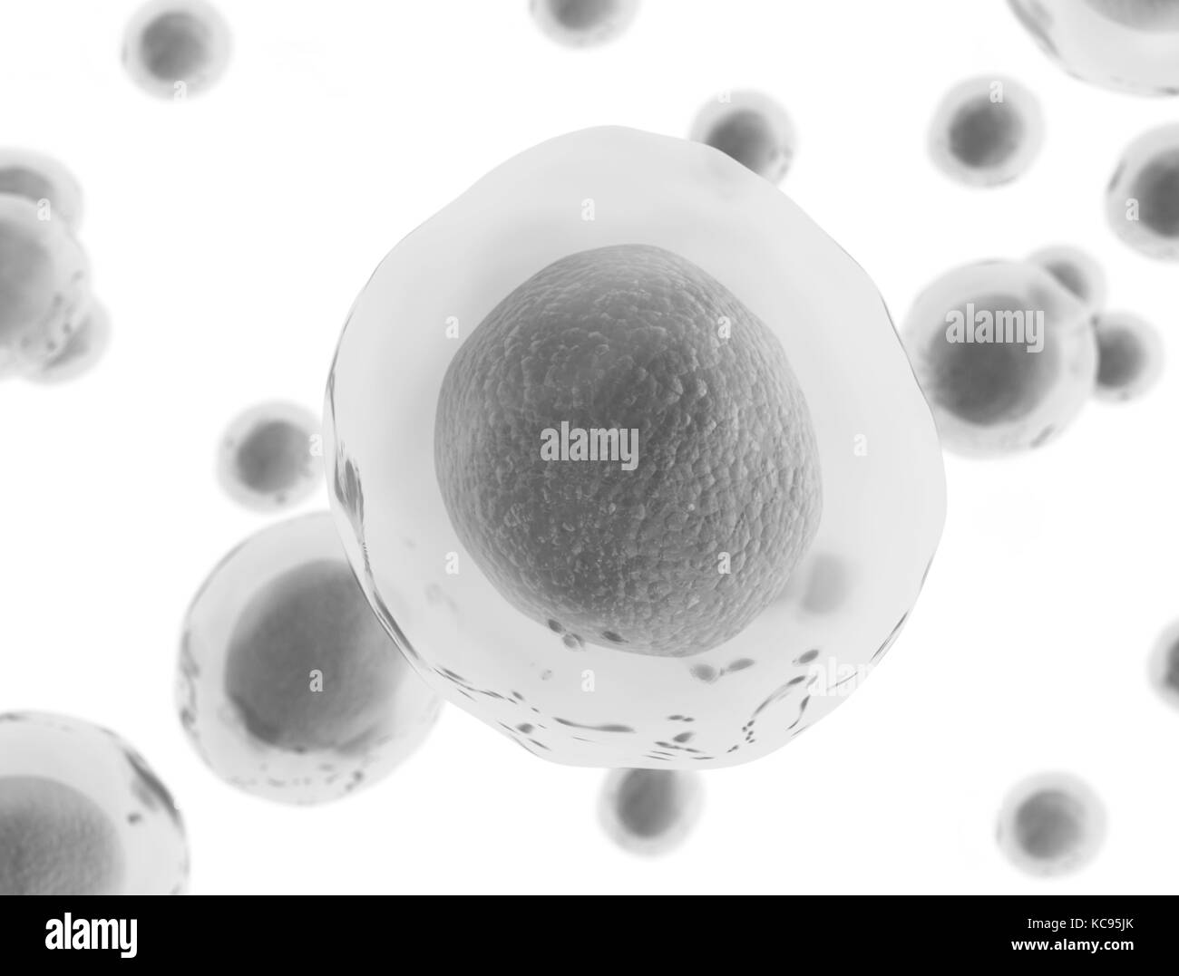 Ilustración 3D prestados de células humanas Foto de stock