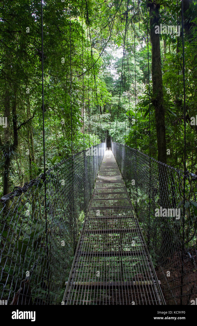 Mistico parque puentes colgantes en Arenal Costa Rica Fotografía de stock -  Alamy