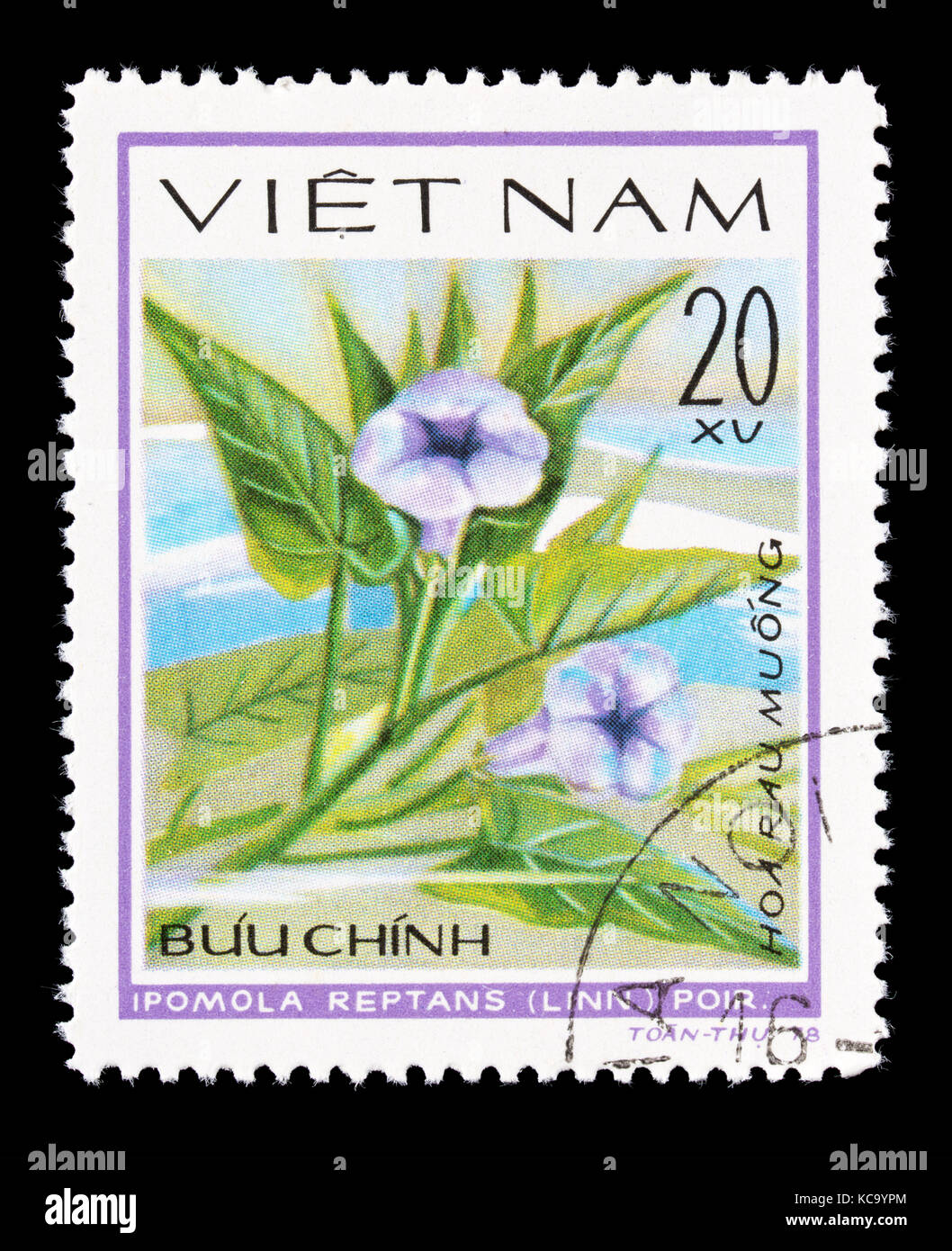 Sello de Vietnam representando las espinacas de agua (Ipomoea aquatica) Foto de stock