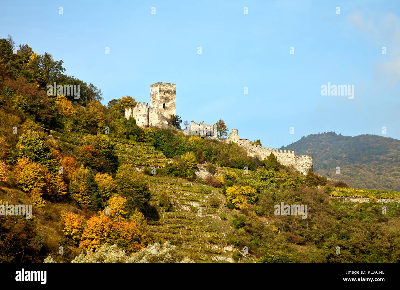 Valle de Wachau, Austria: una ruina medieval, la fortaleza de Hinterhaus, domina la ciudad de Spitz en el río Danubio entre Melk y Durnstein. Thi Foto de stock