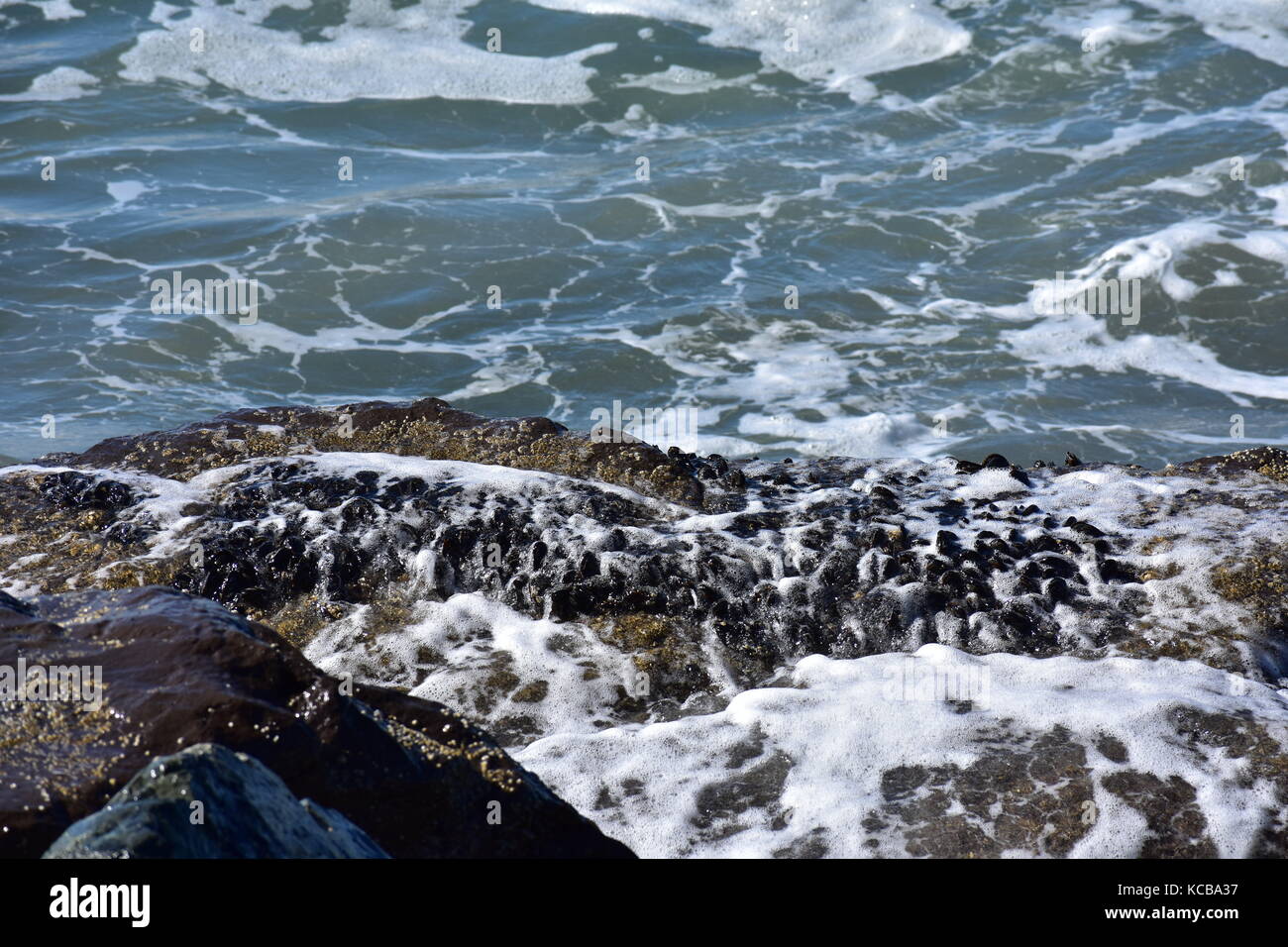 Las rocas oceánicas Foto de stock