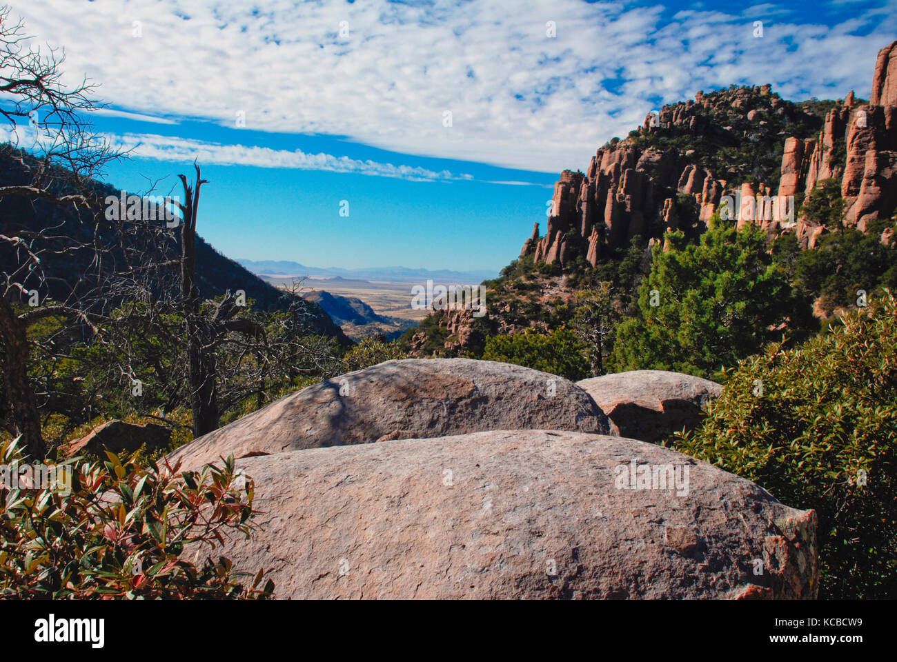 El Monumento Nacional Chiricahua en el sureste de Arizona es parte del Servicio de Parques nacionales de los Estados Unidos Foto de stock