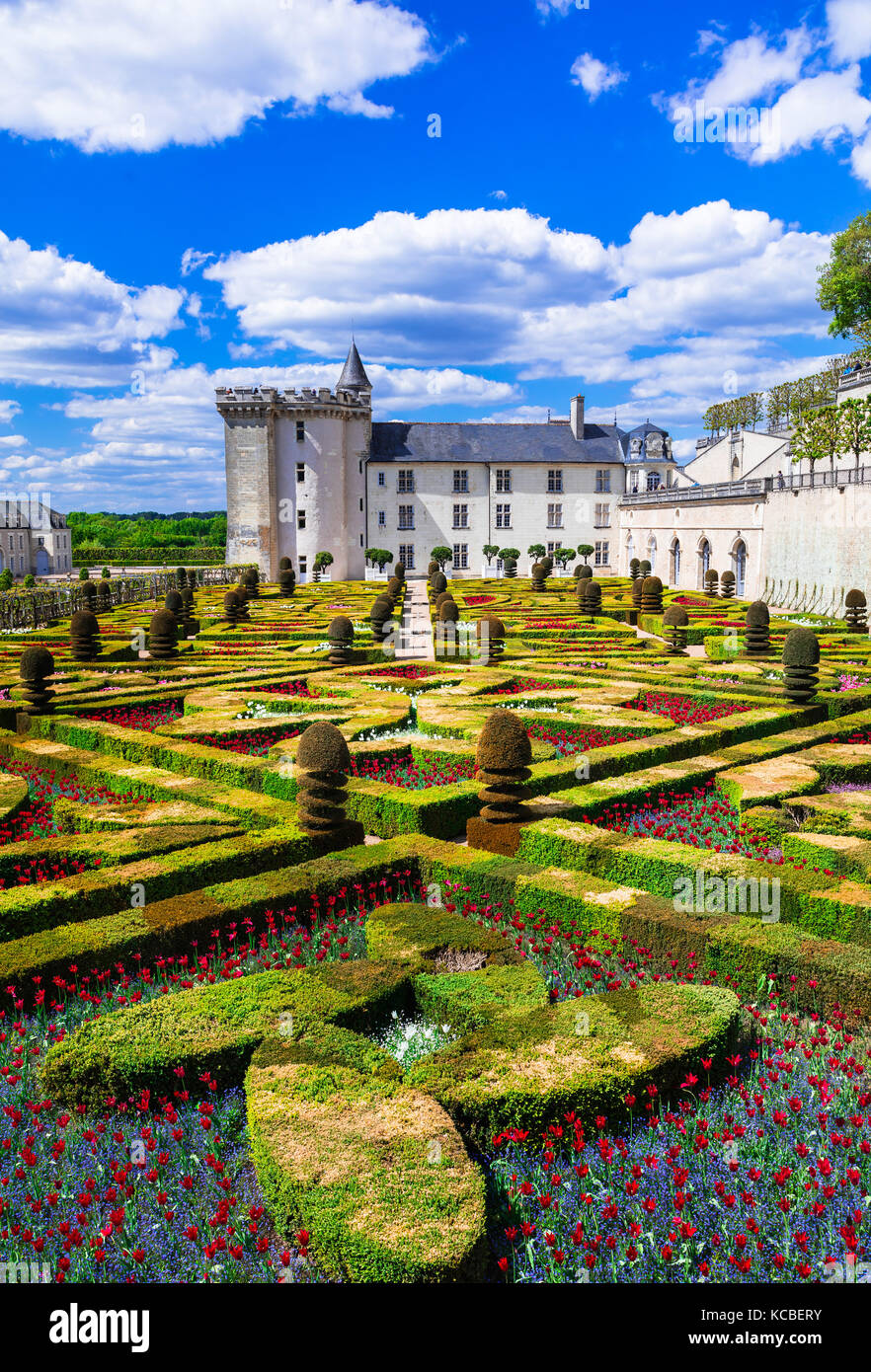 Hermoso castillo medieval villandry,ver con jardines,Valle del Loira, Francia. Foto de stock