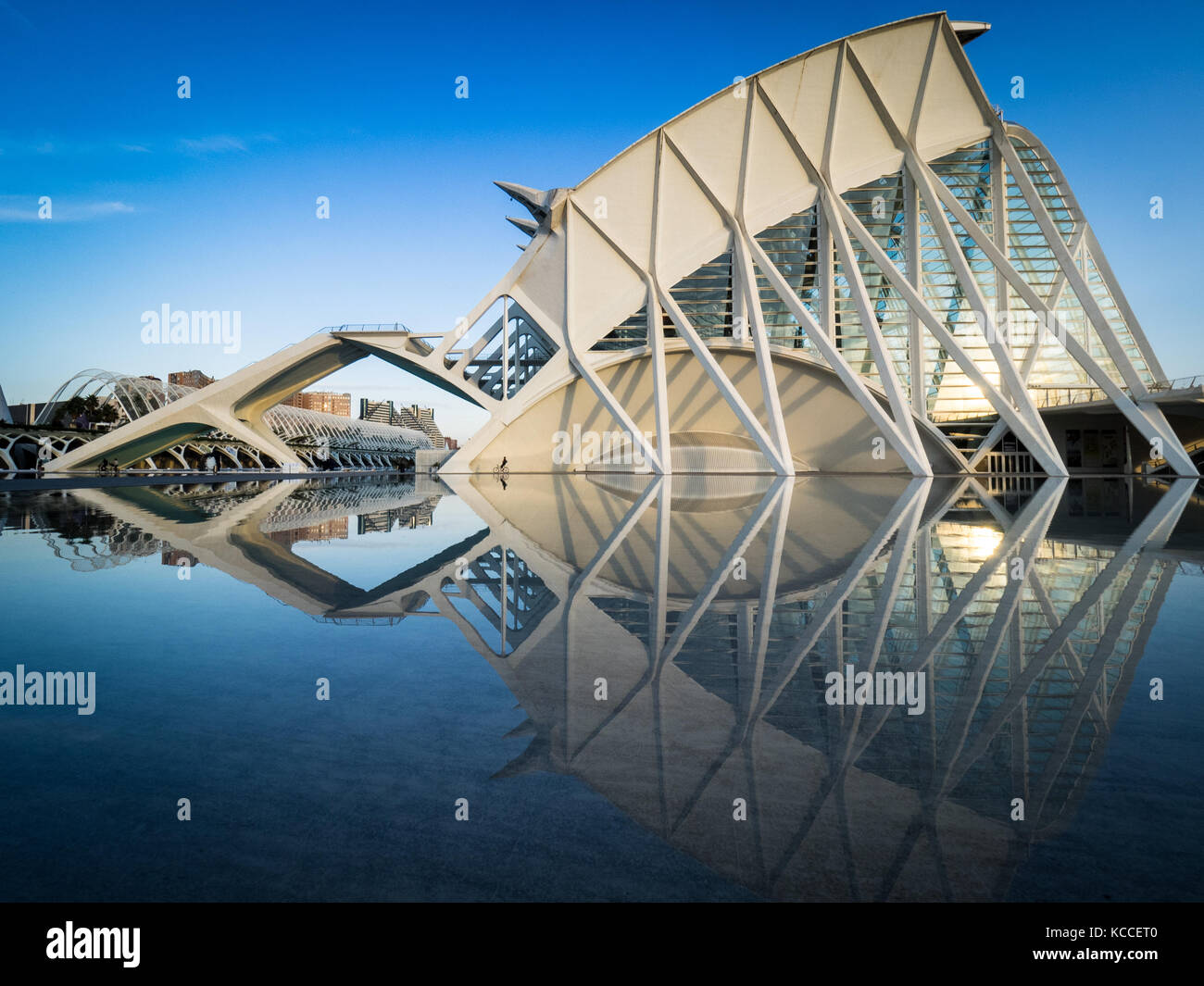 Arquitectura de Valencia - Museo de Ciencias Príncipe Felipe en la Ciudad de las Artes y las Ciencias de Valencia, arquitecto Santiago Calatrava (inaugurado en 2000) Foto de stock