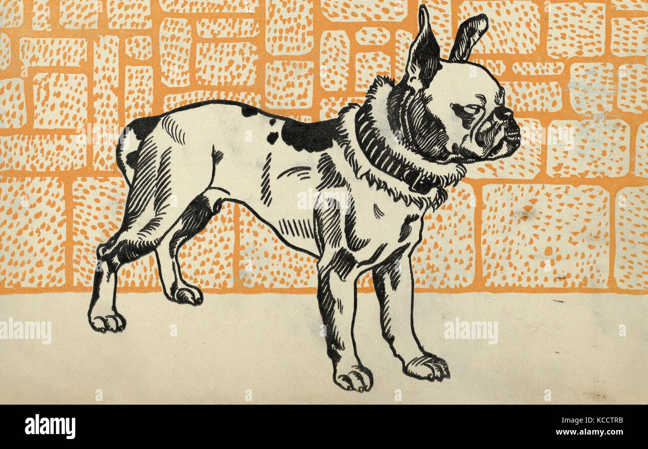 Dibujos y Grabados, Impresión, pitbull terrier, Artista, editor, Moriz Jung, Wiener Werkstätte, austríaco (nacido en Checoslovaquia Foto de stock