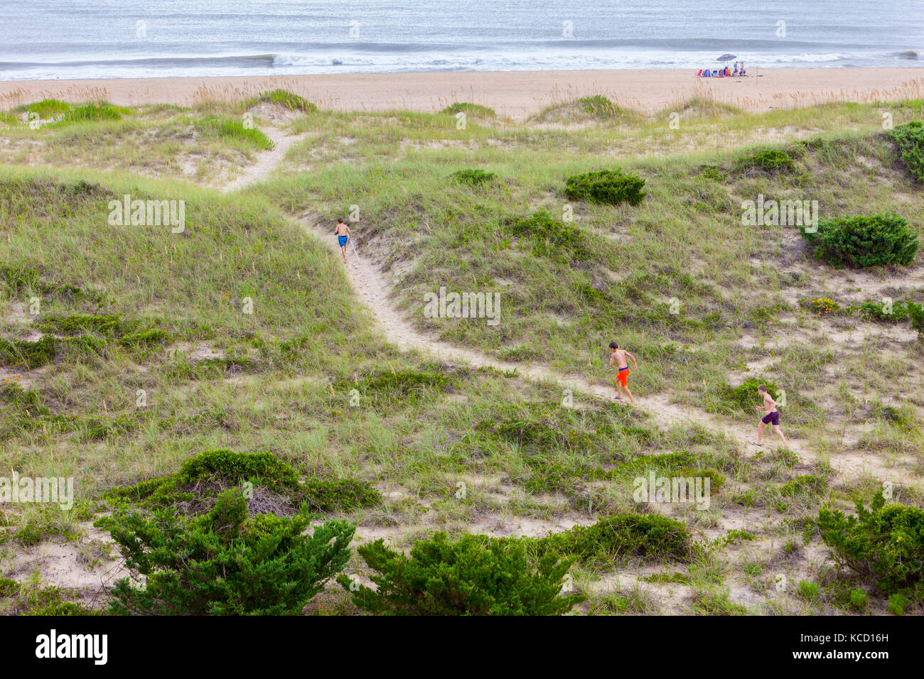 Avon, Outer Banks, Carolina del Norte, EE.UU. Los niños que van a lo largo de isla barrera dunas de camino a la playa del Atlántico. Foto de stock