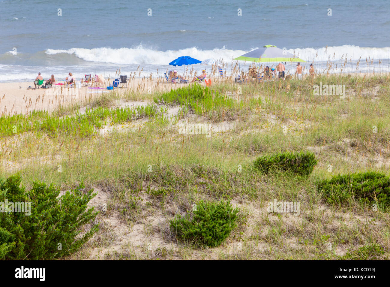 Avon, Outer Banks, Carolina del Norte, EE.UU. La vegetación se estabiliza la duna de una isla barrera mientras las familias relajarse en la playa del Océano Atlántico. Foto de stock