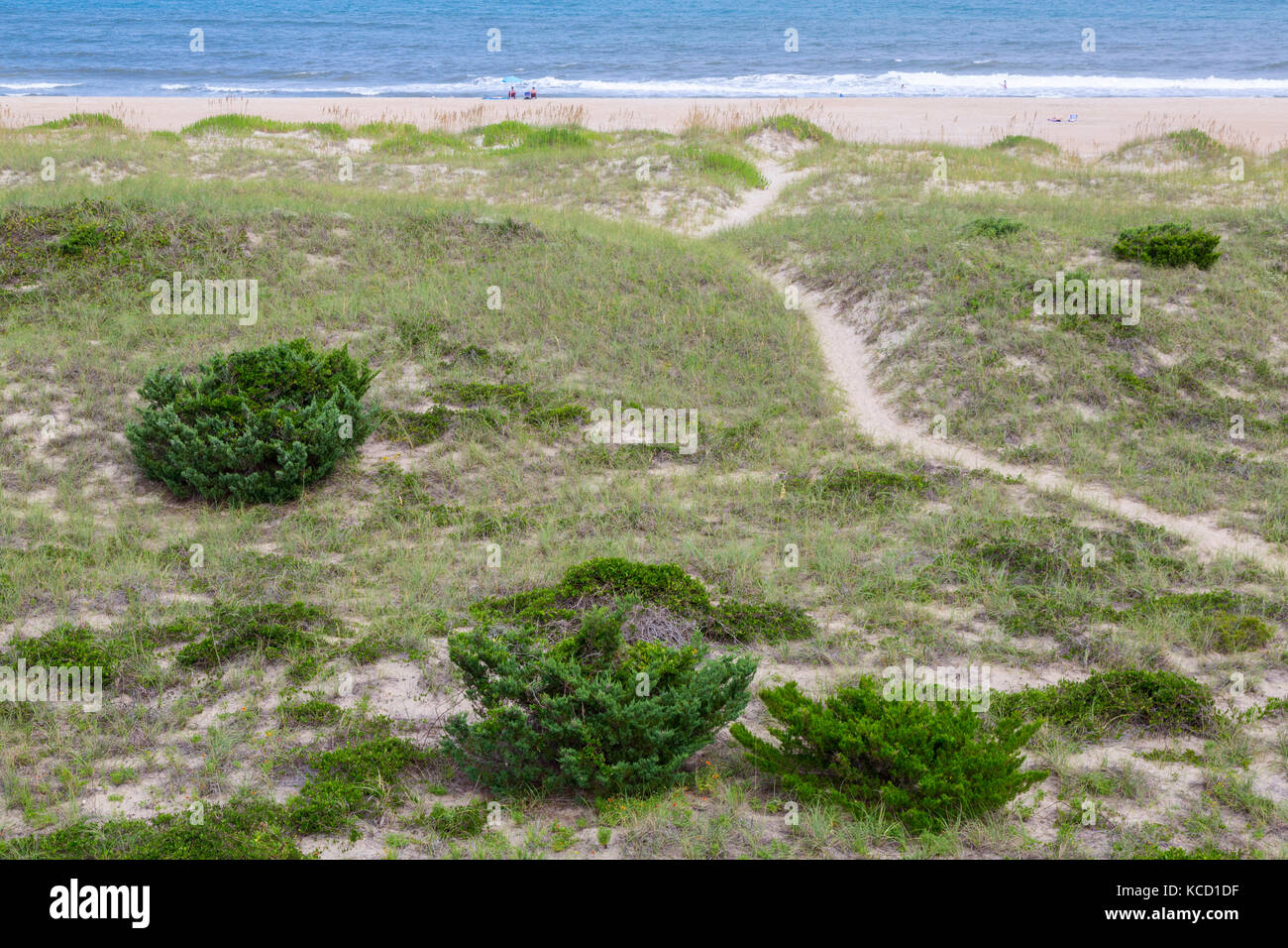 Avon, Outer Banks, Carolina del Norte, EE.UU. Sendero que conduce a las dunas de una isla barrera, para dos adultos de relax en la playa. Foto de stock