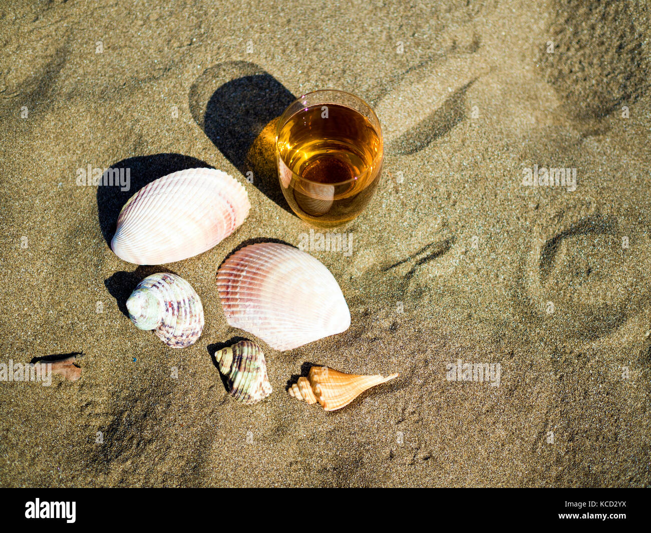 Vista superior del vaso de té con conchas en la playa de verano Foto de stock