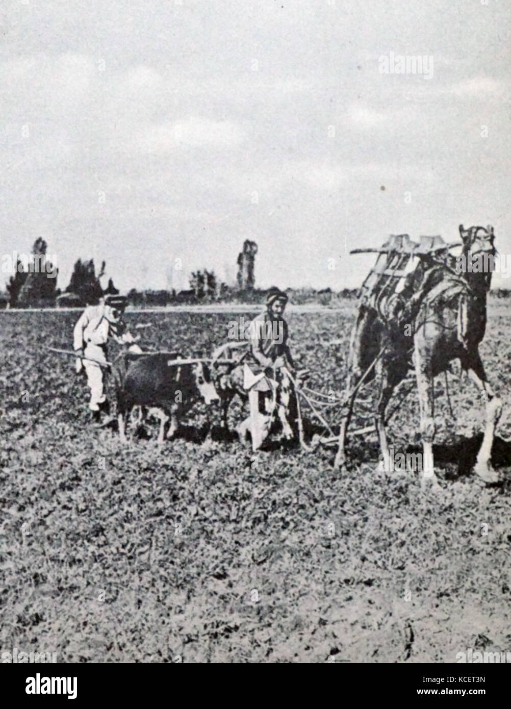Comunidad Judía de finales del siglo XIX en el Distrito Central de Israel hacia 1885 Foto de stock