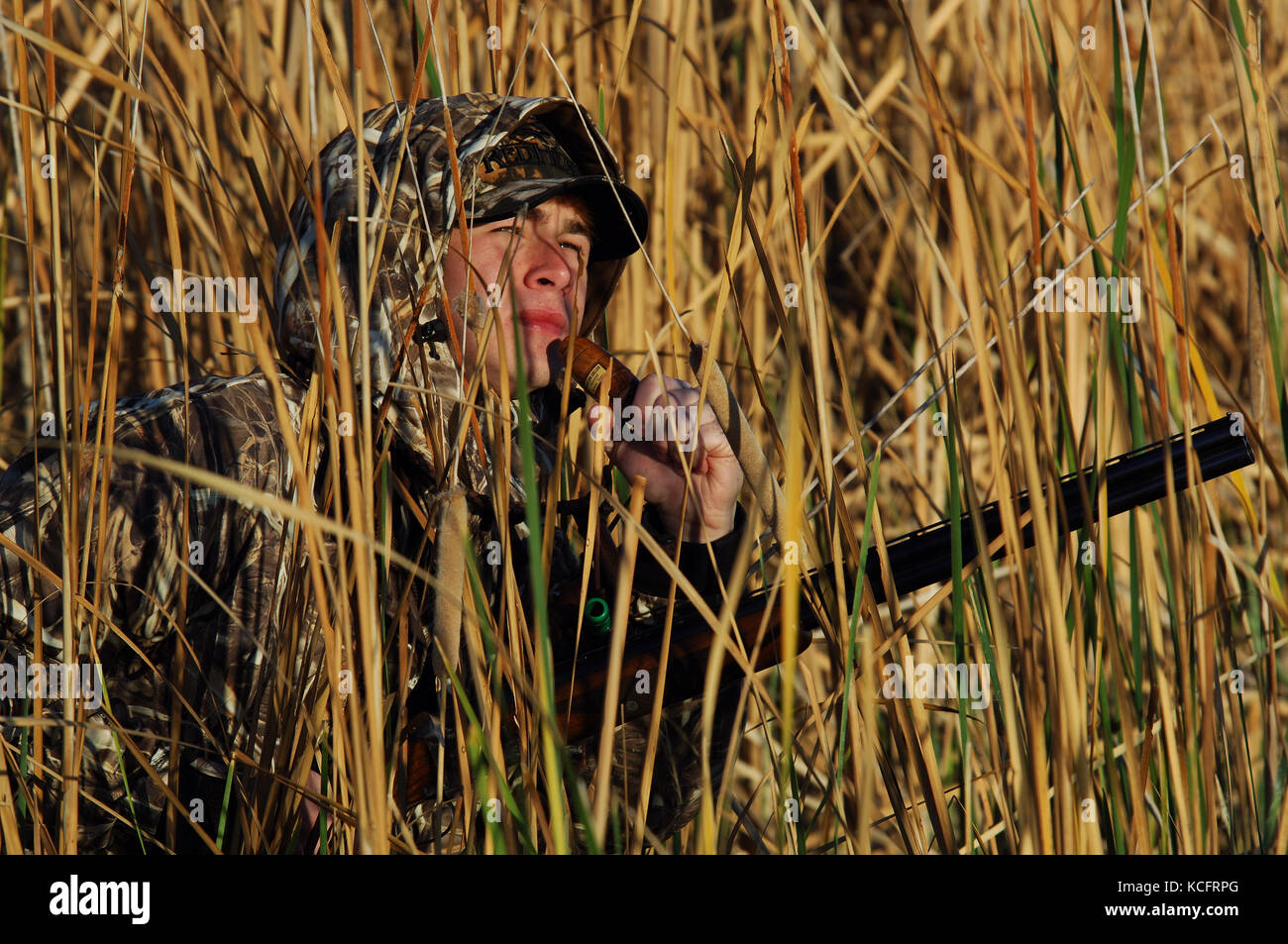 Un pato hunter en camuflaje llama patos desde un pantano en el sur de Texas Foto de stock