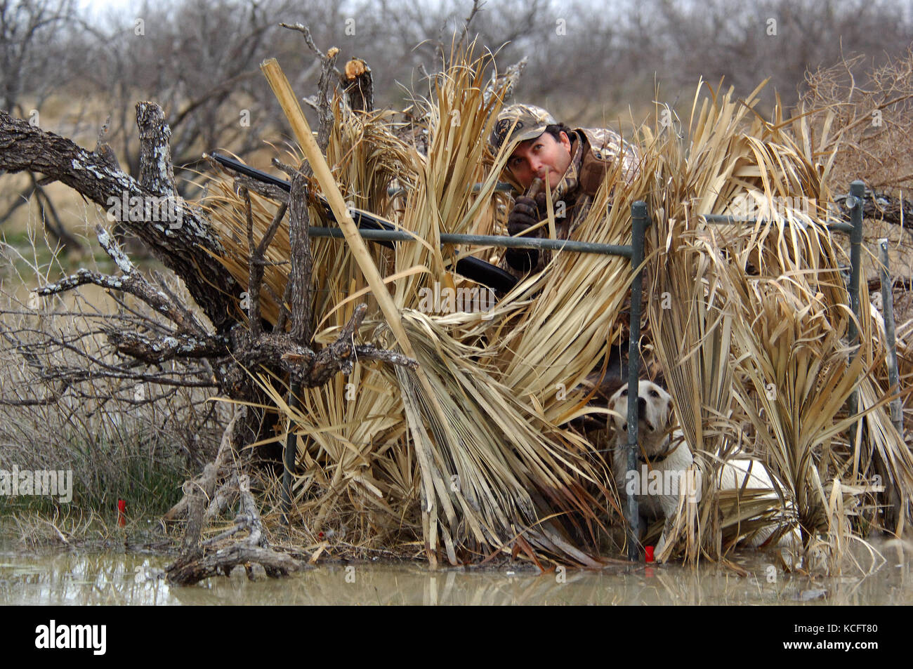 Un pato hunter en camuflaje llama patos desde un pantano en el sur de Texas Foto de stock