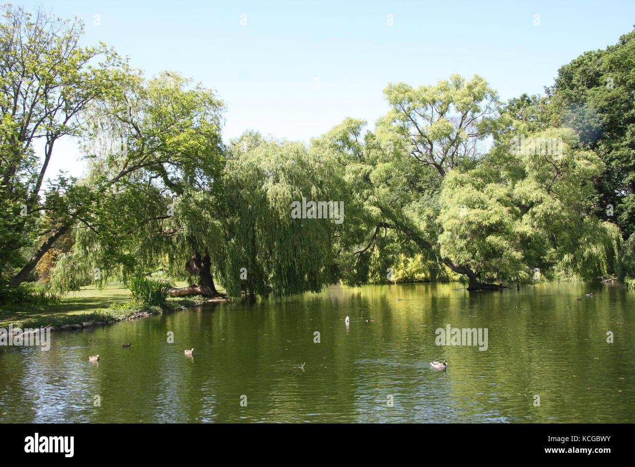 Vistas a los jardines Thwaite Hall en Cottingham, East Yorkshire Foto de stock