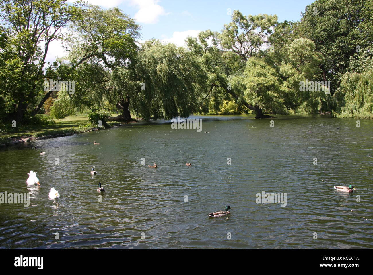 Vistas a los jardines Thwaite Hall en Cottingham, East Yorkshire Foto de stock