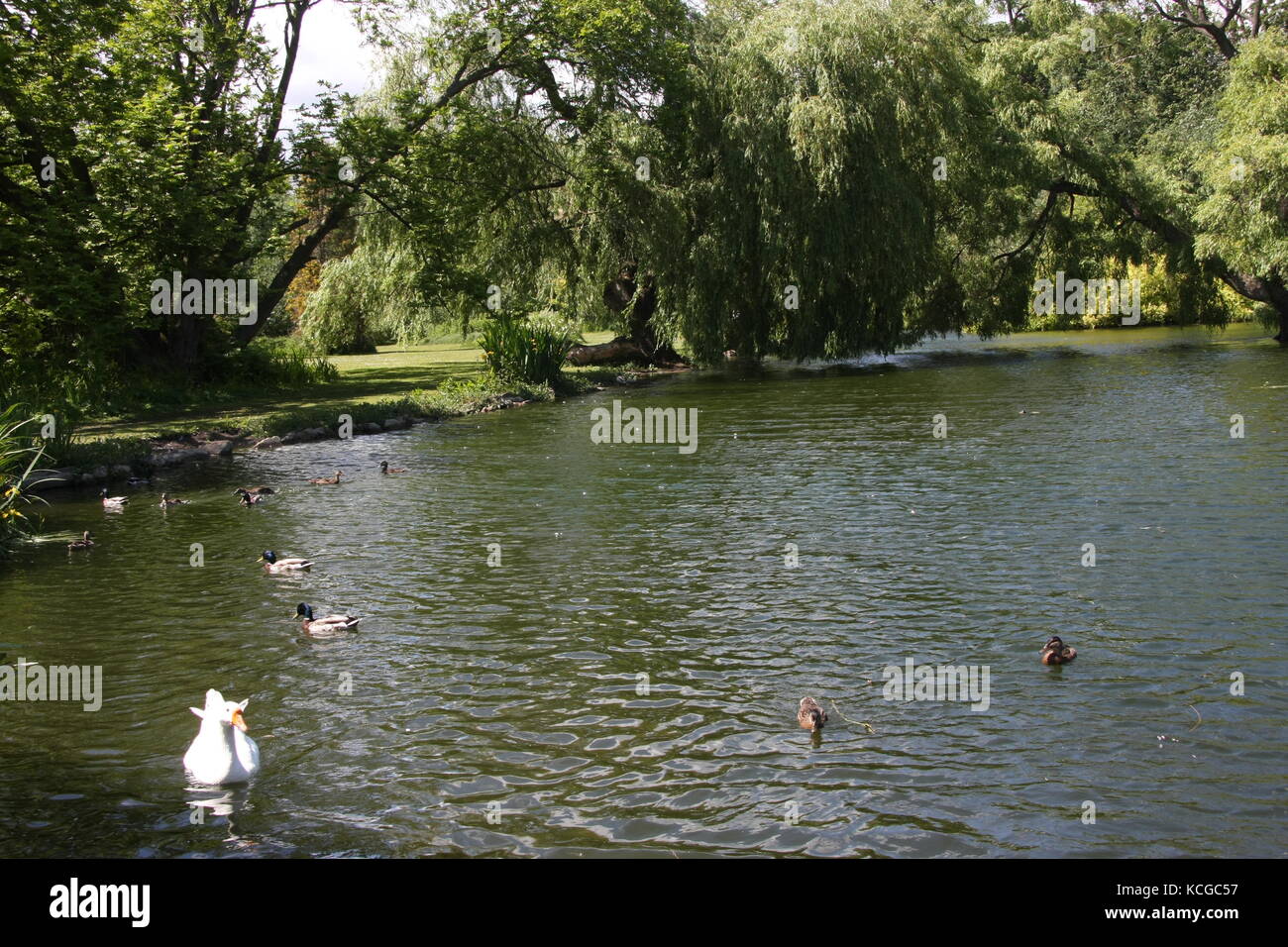 Vistas a los jardines Thwaite Hall en Cottingham, East Yorkshire Foto de stock