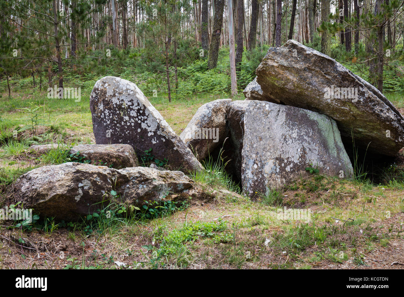 Cerca de Malpica de Bergantiños, la provincia de La Coruña, Galicia, España. pedra de arca dolmen. Esta cámara funeraria megalítica está fechado entre 3500 y Foto de stock