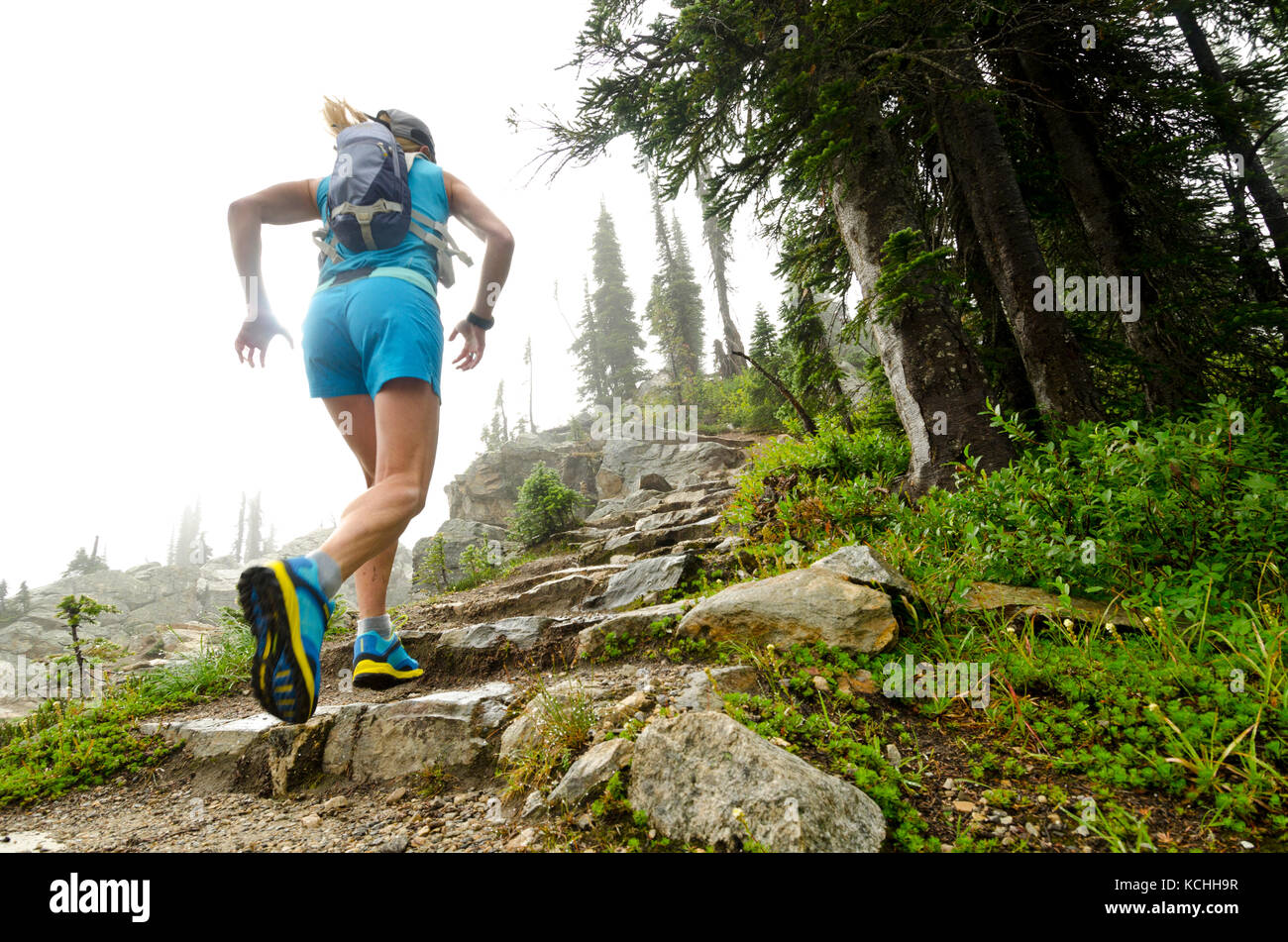 Un atleta trail running en el Parque Nacional Monte Revelstoke, BC Foto de stock